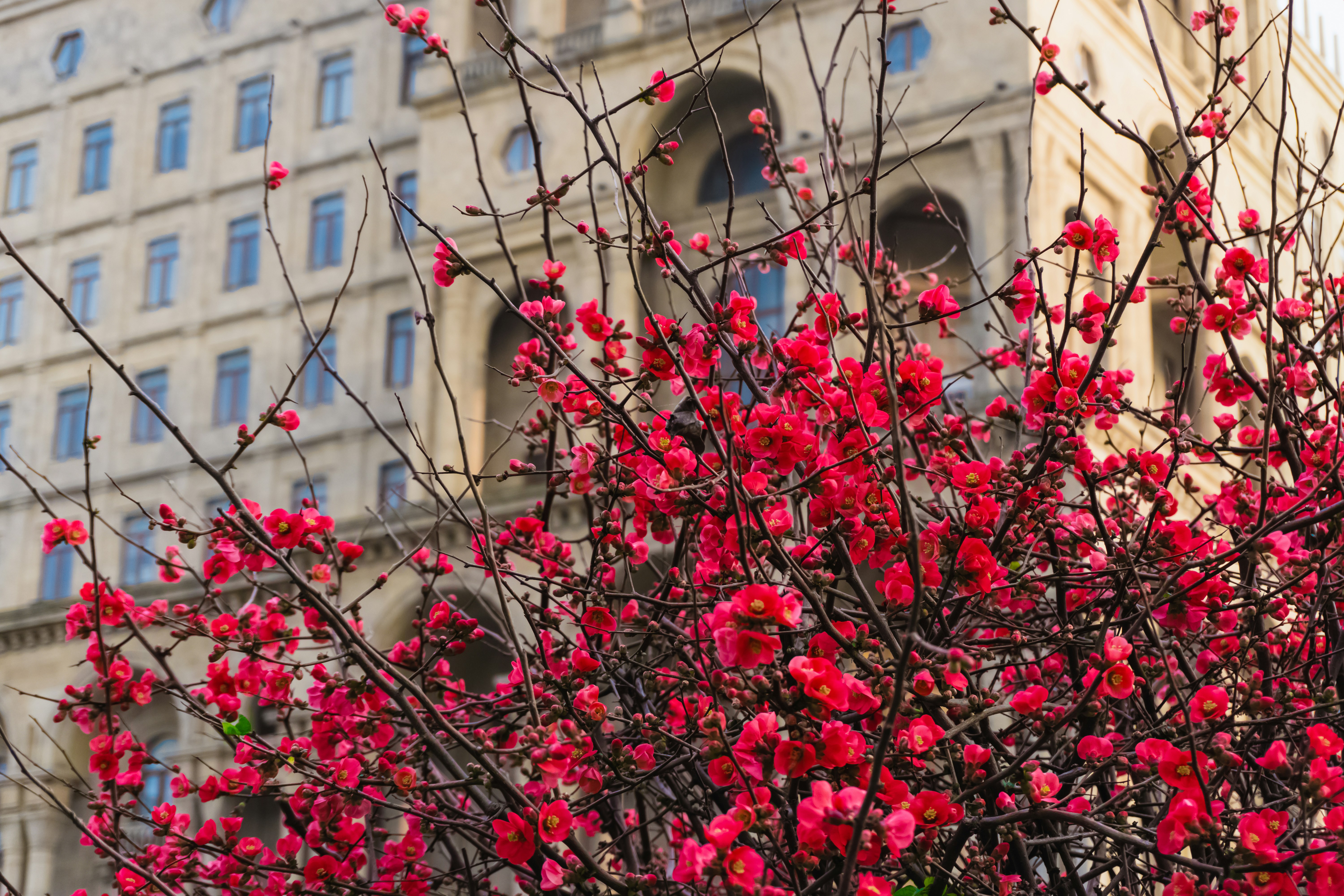 Photo by zulfugarkarimov