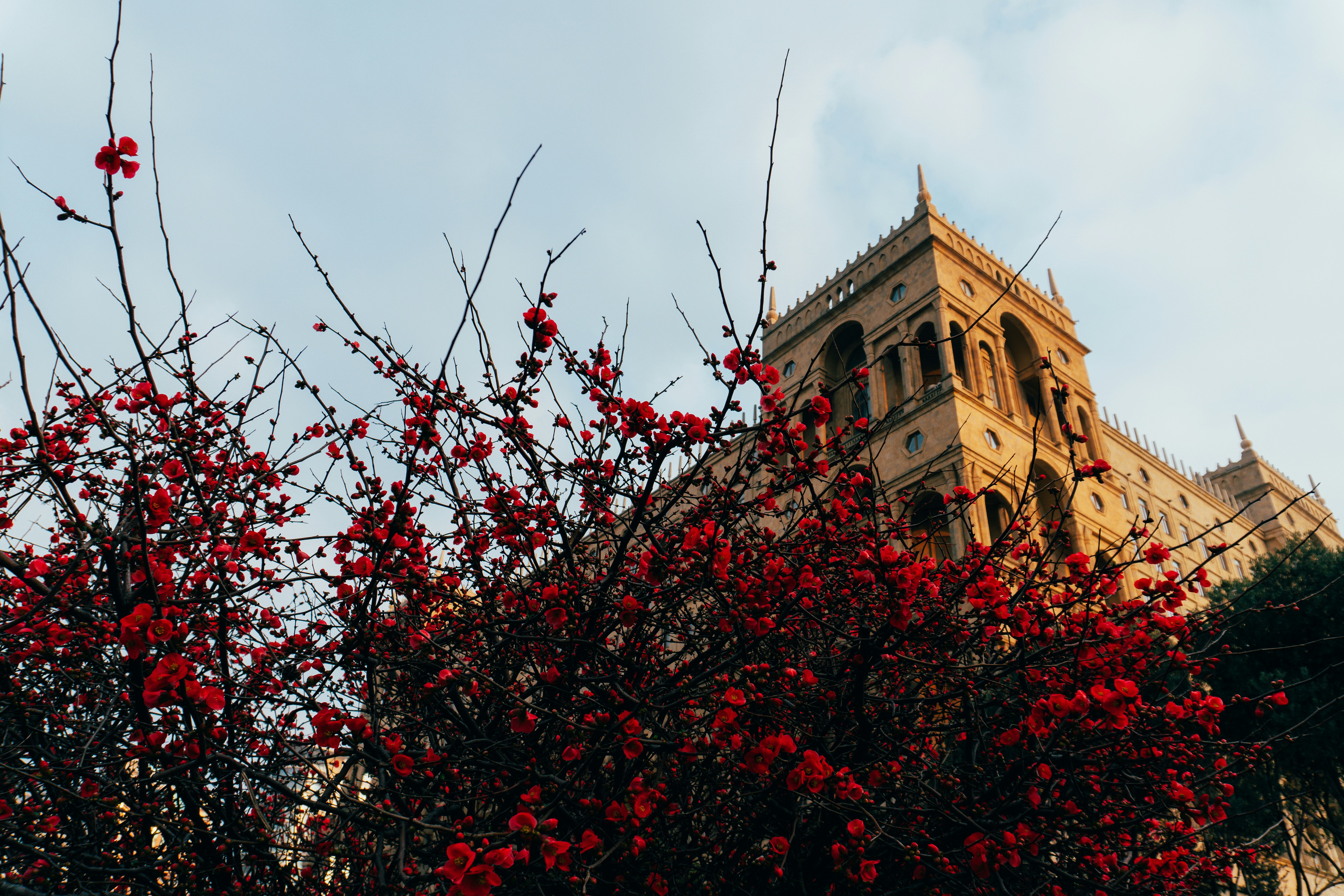 Photo by zulfugarkarimov