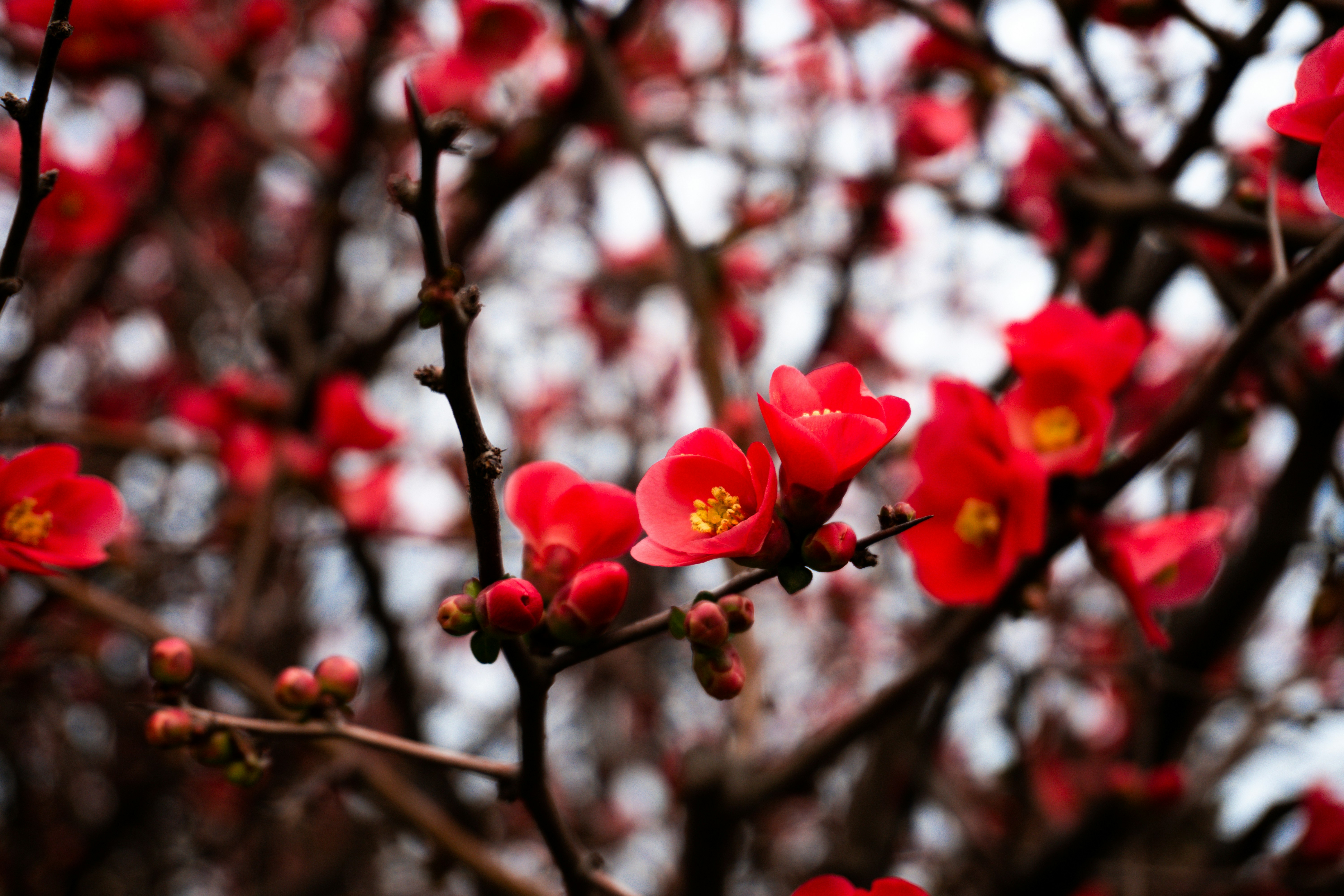 Photo by zulfugarkarimov