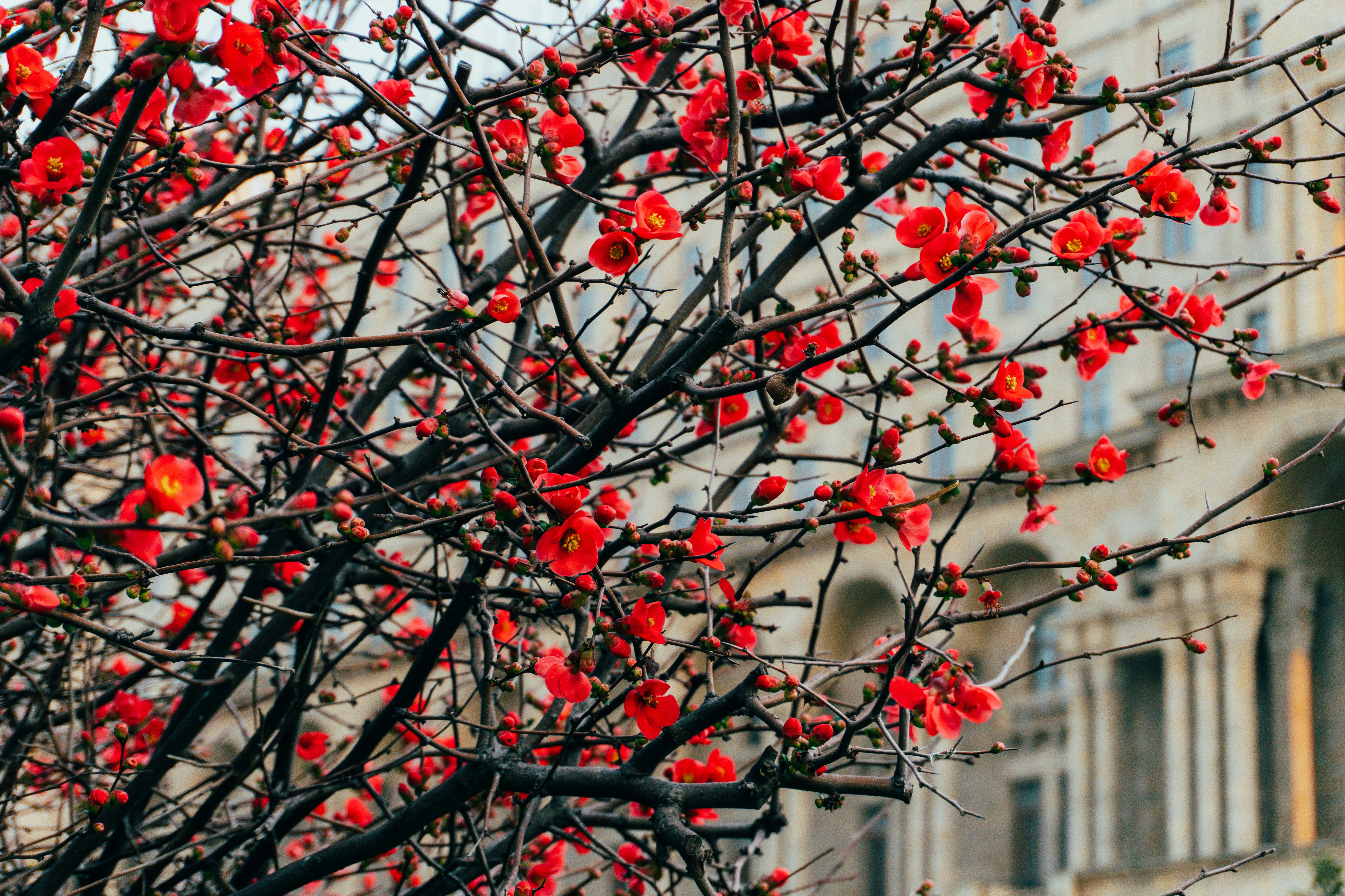 Photo by zulfugarkarimov