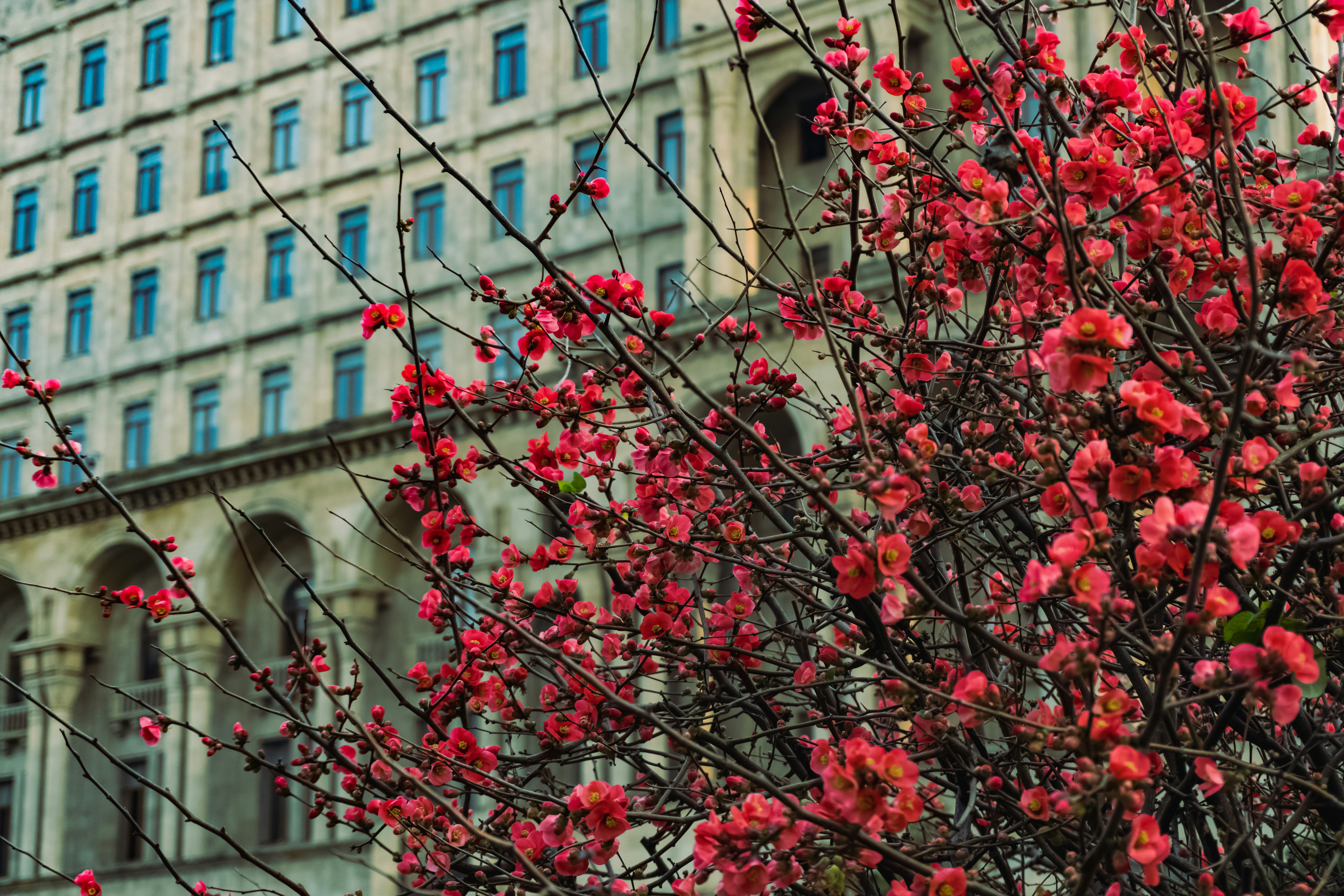 Photo by zulfugarkarimov