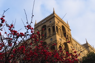 Red flowers bloom in front of a grand building.