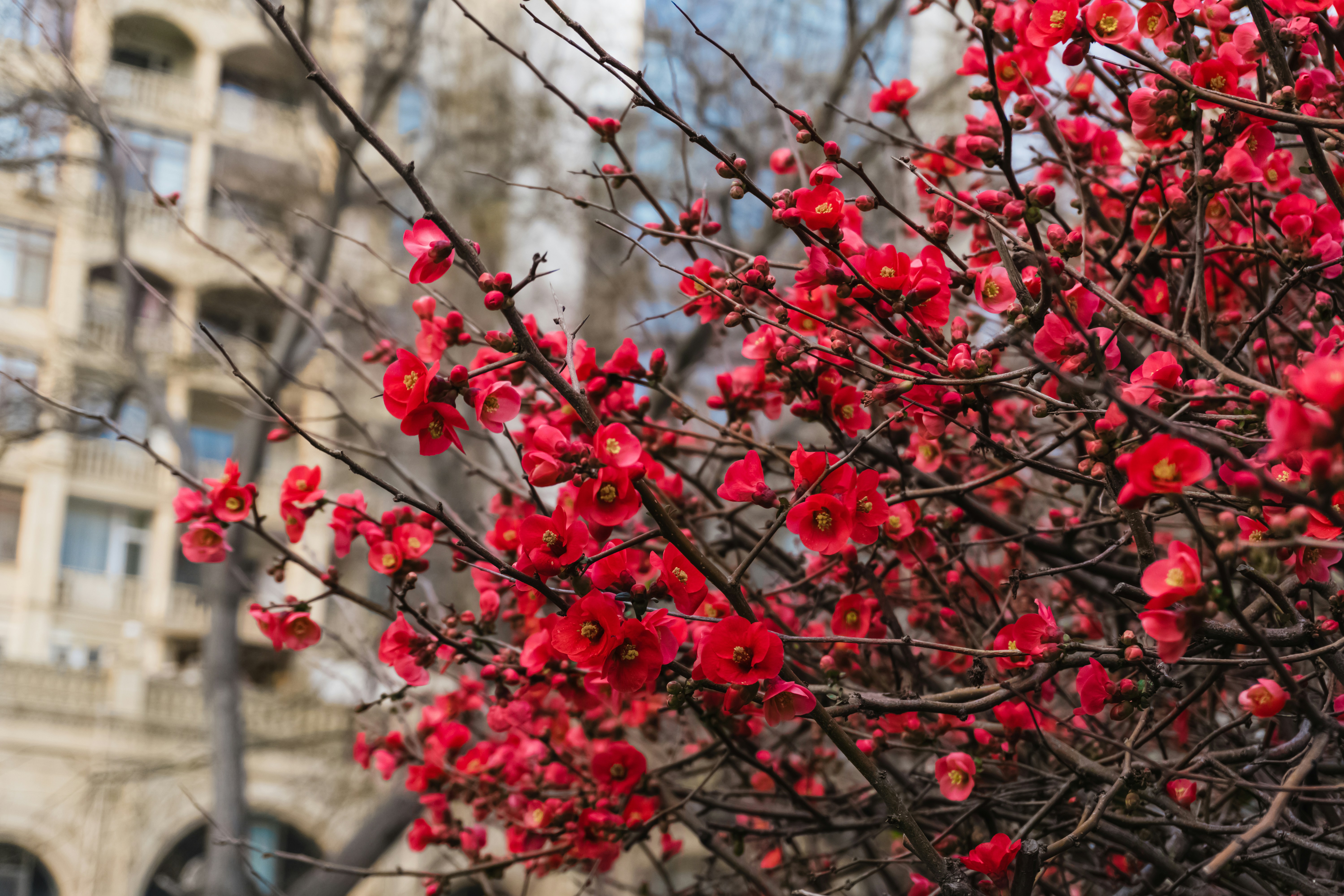 Photo by zulfugarkarimov