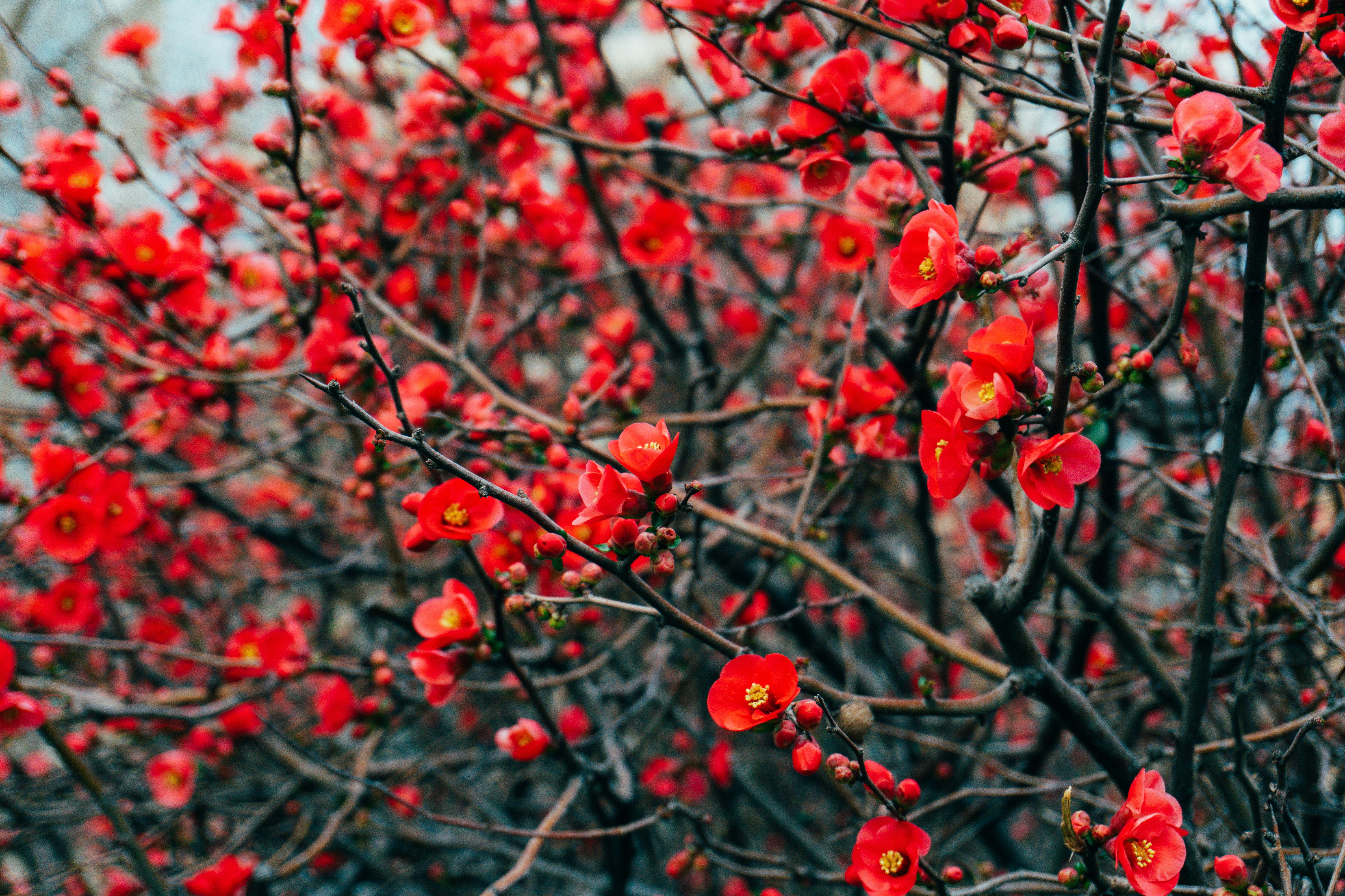 Photo by zulfugarkarimov