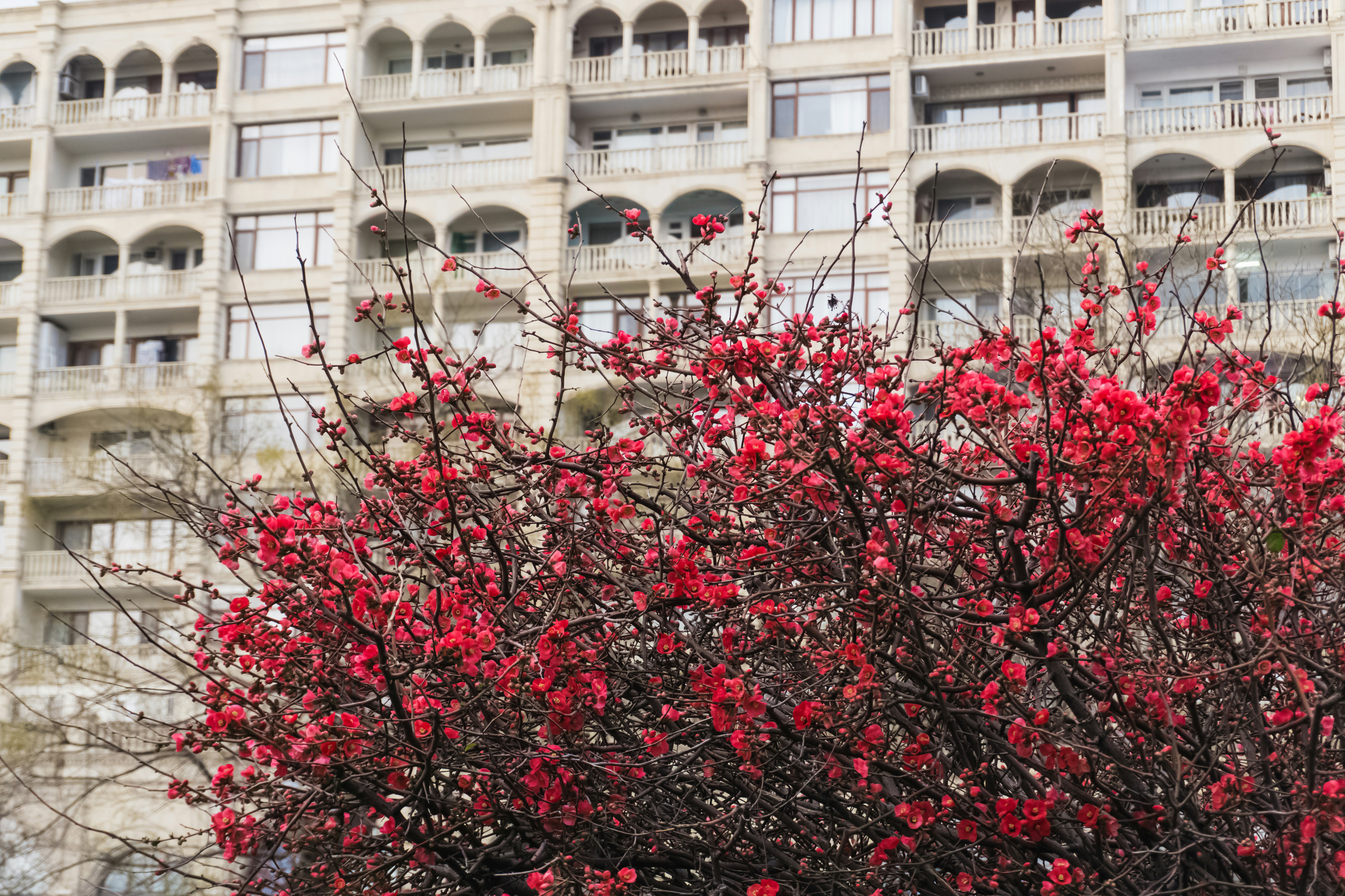 Photo by zulfugarkarimov