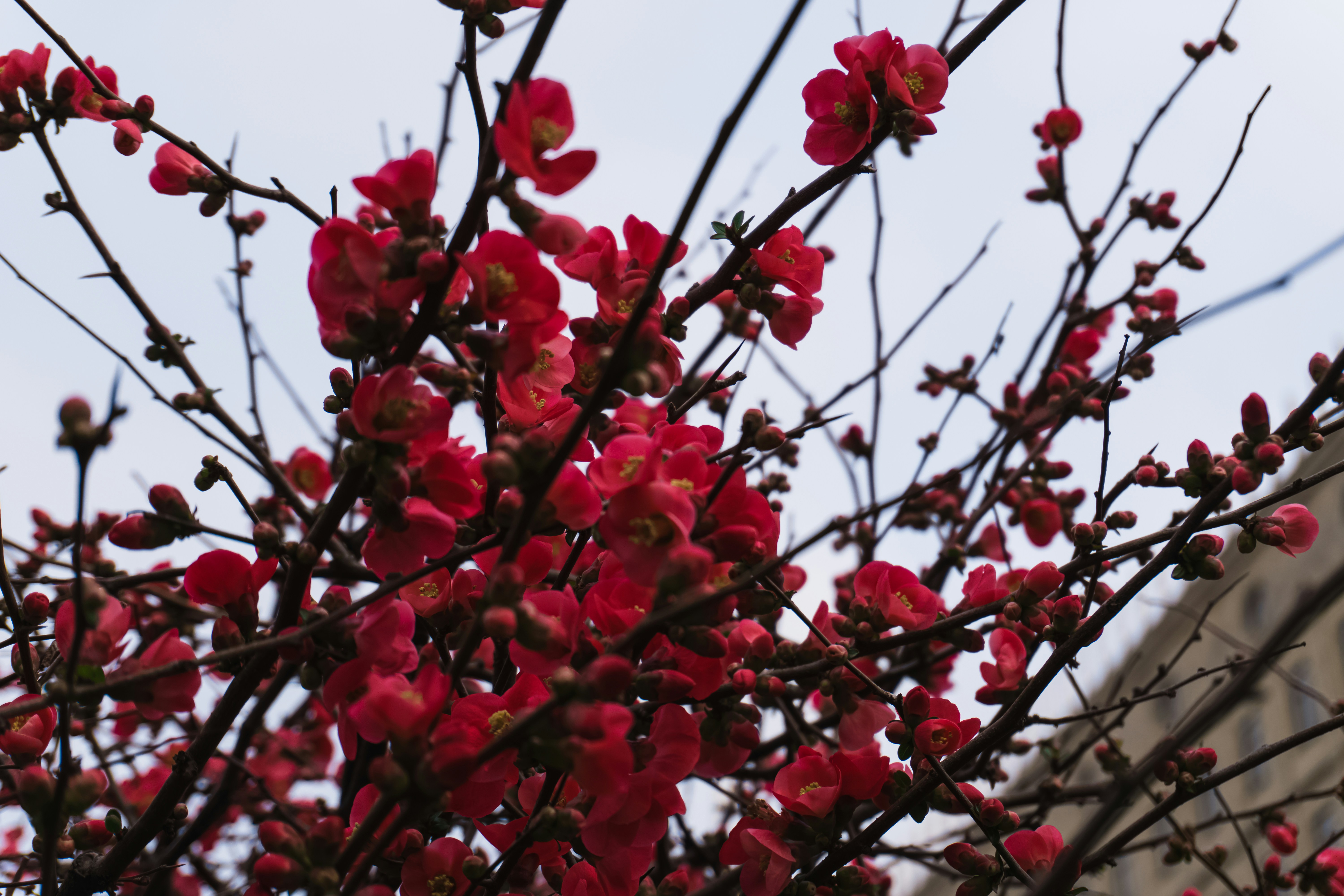 Photo by zulfugarkarimov