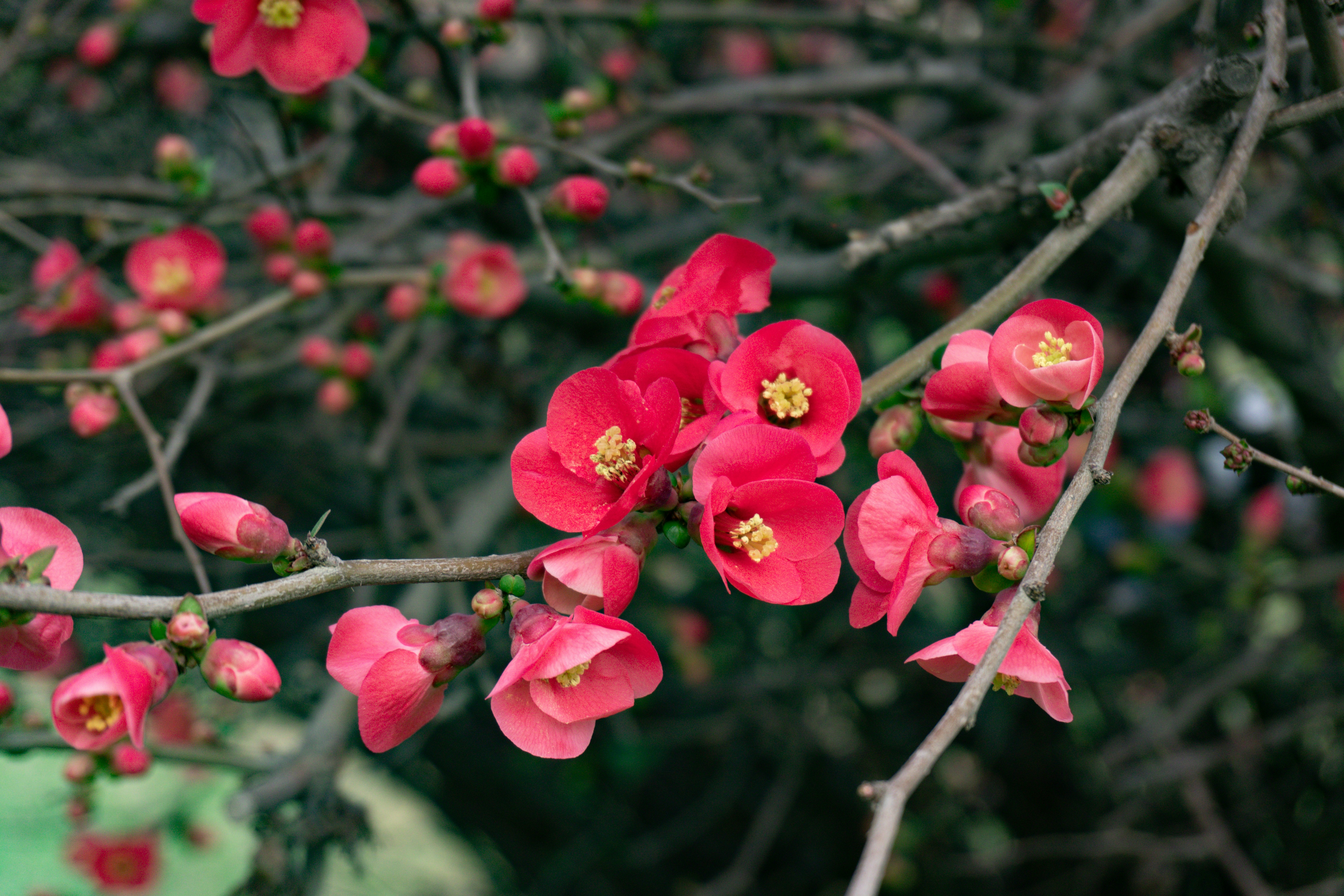 Photo by zulfugarkarimov