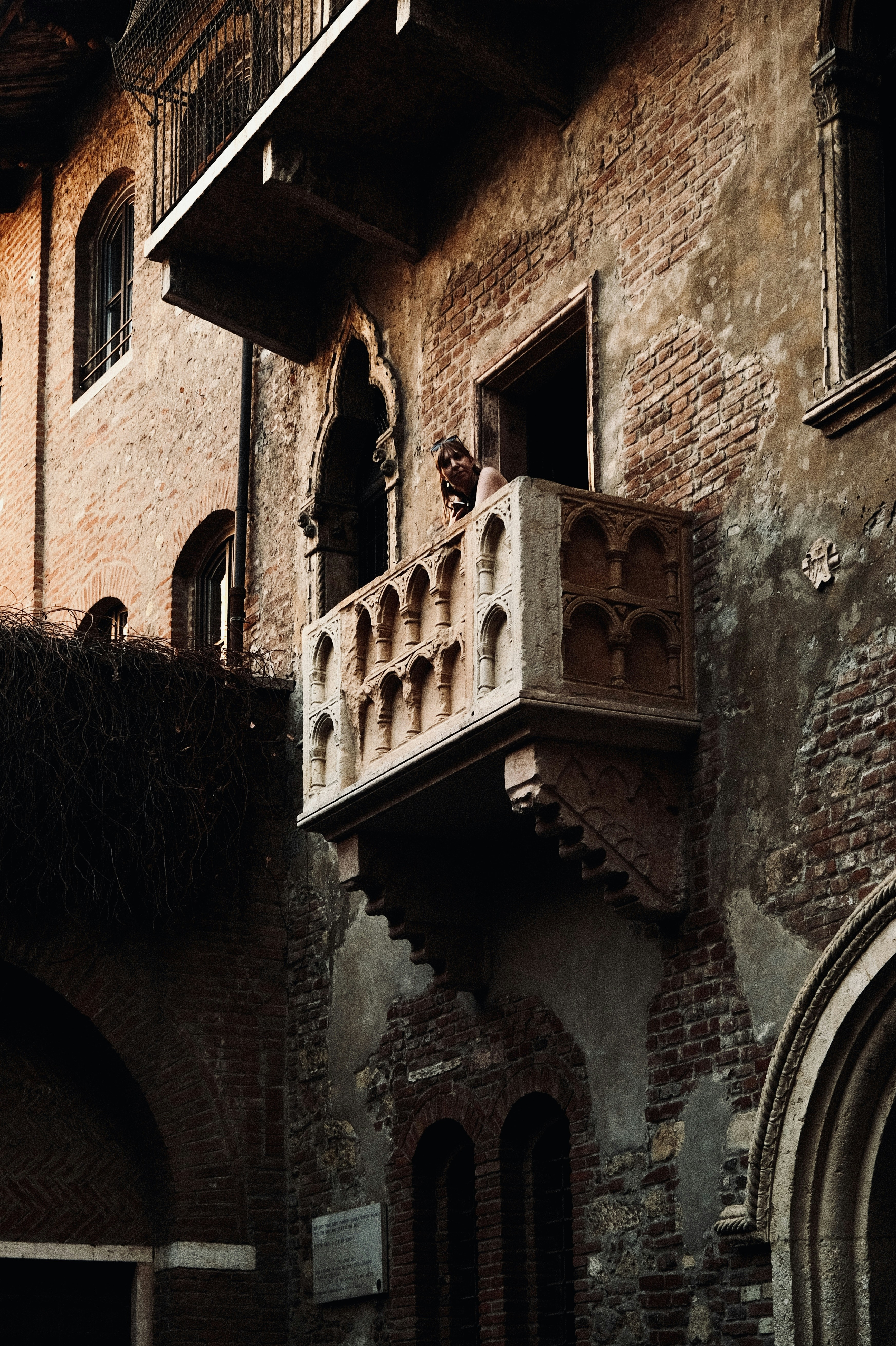 Photo by ivosouzamartins