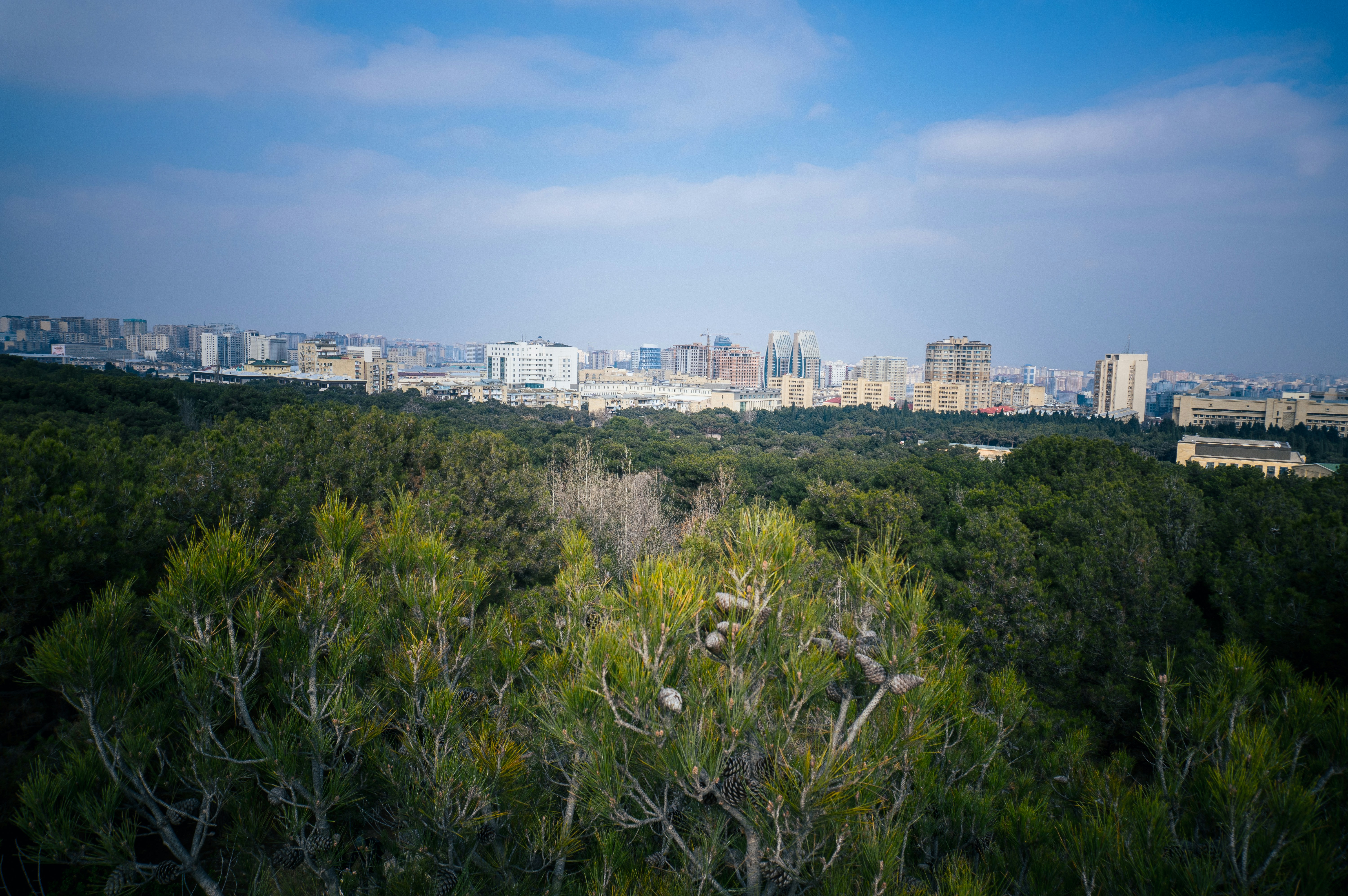 City skyline visible from above the lush greenery.