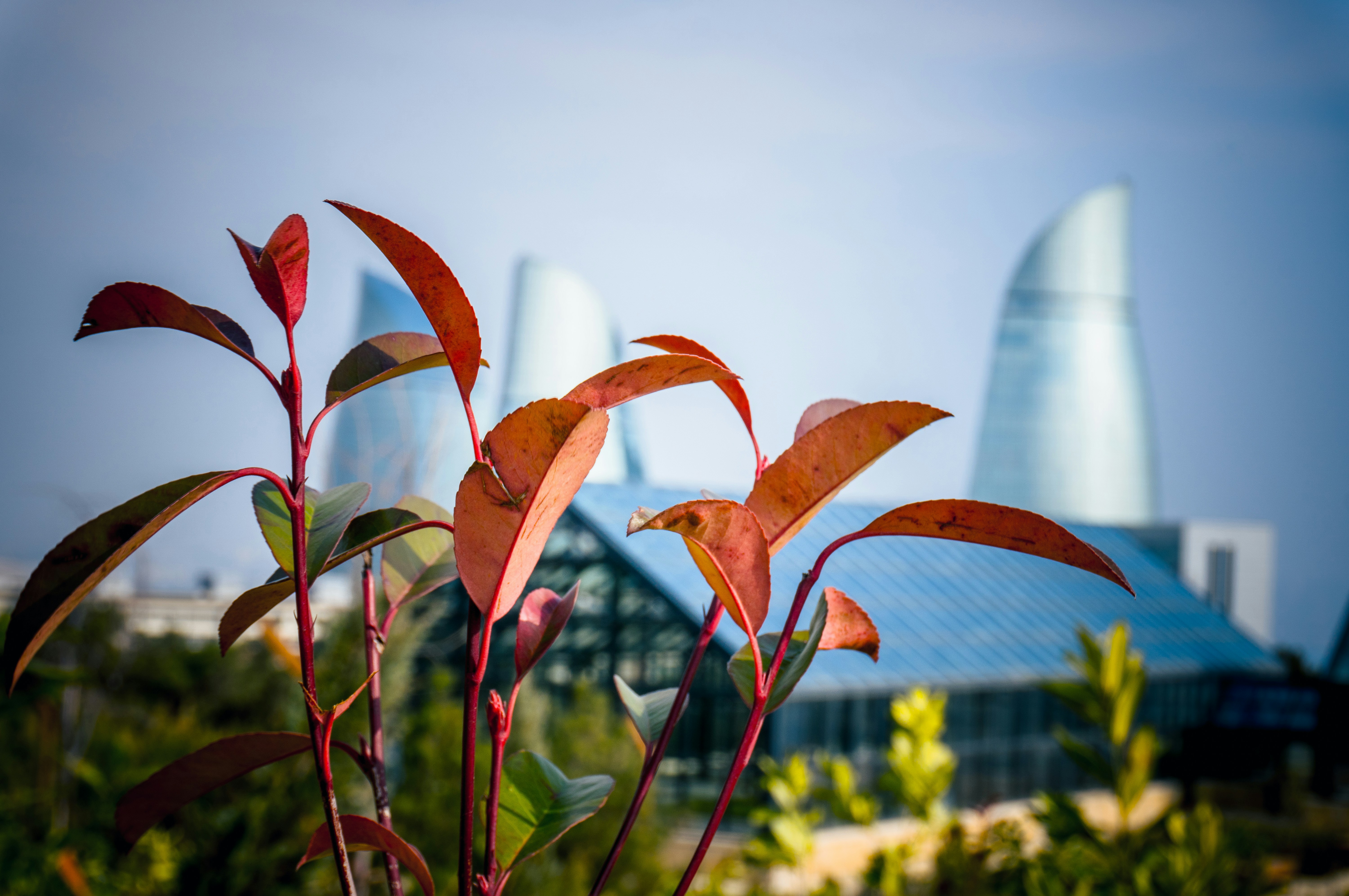Photo by zulfugarkarimov