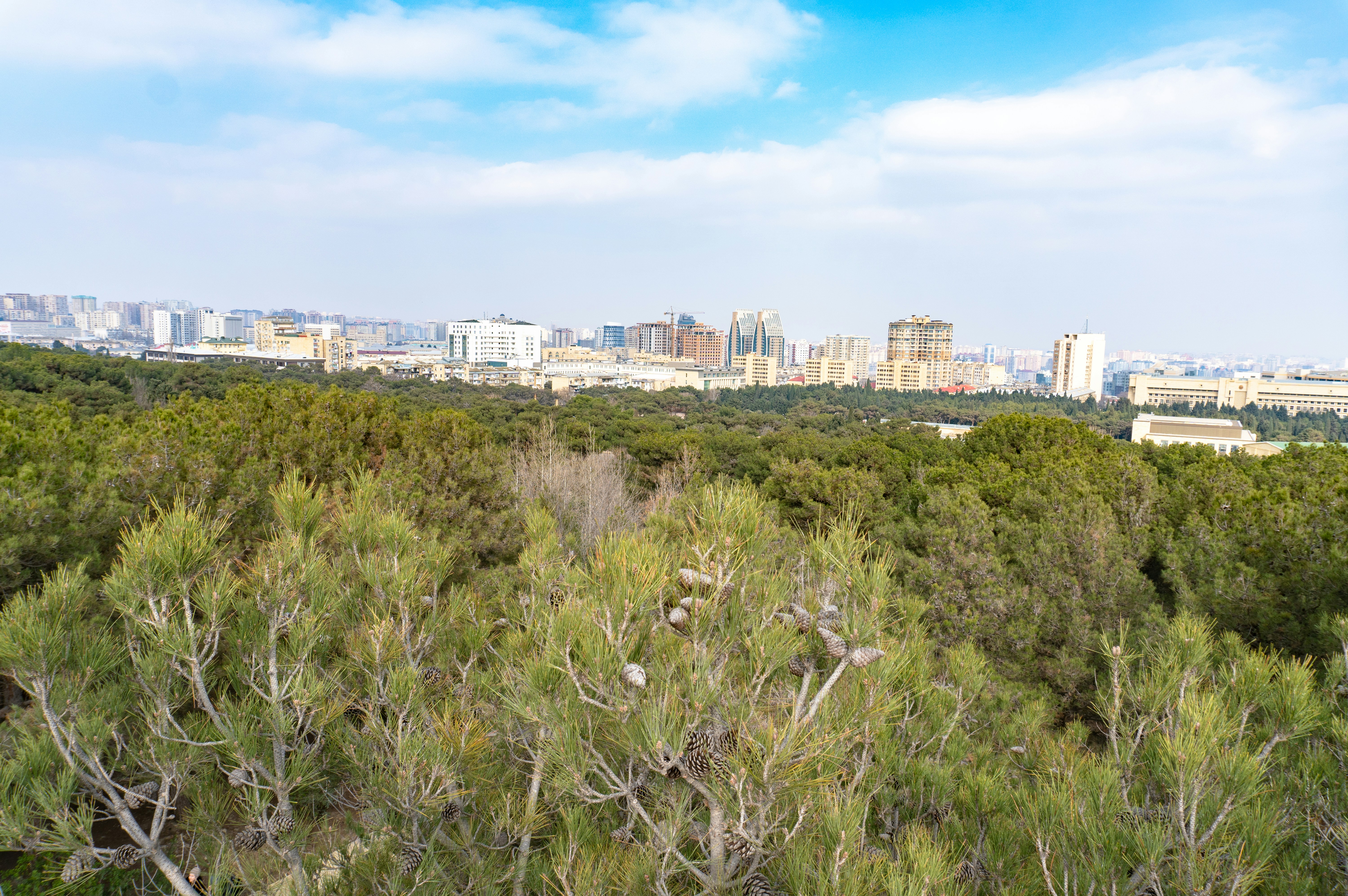 Photo by zulfugarkarimov