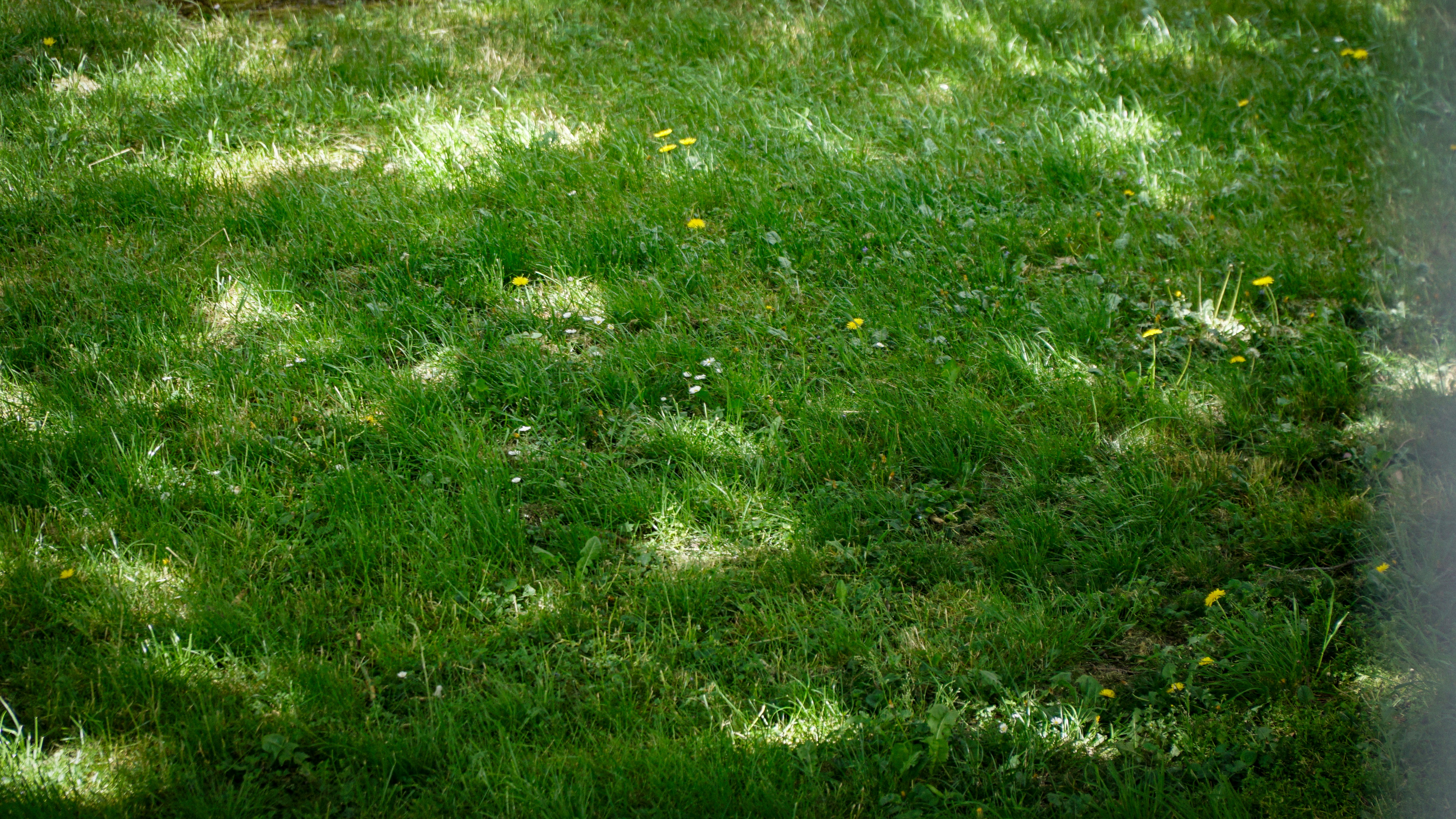 What Groans and Sinks Can Indicate About Digestion