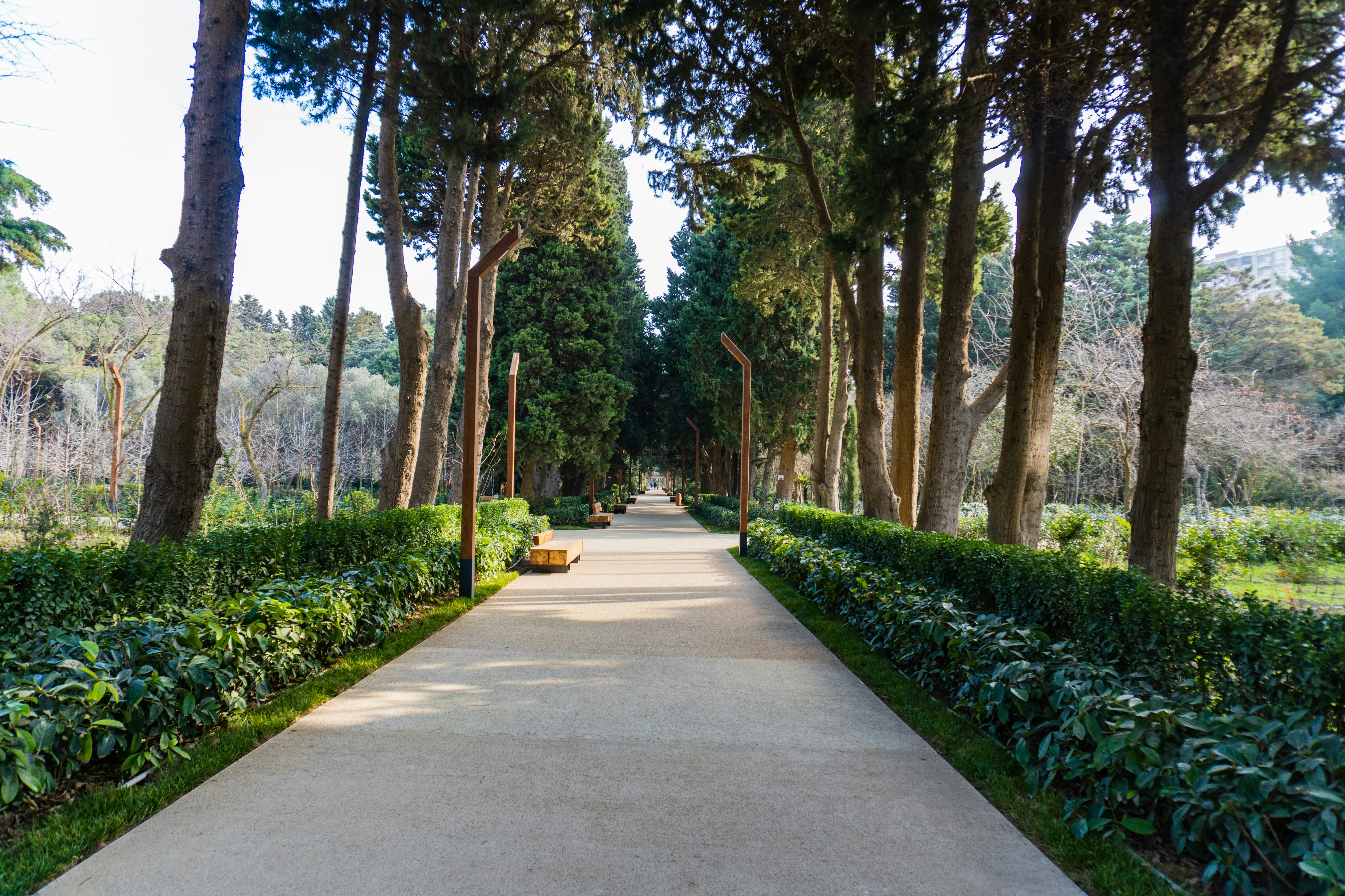 Photo by zulfugarkarimov