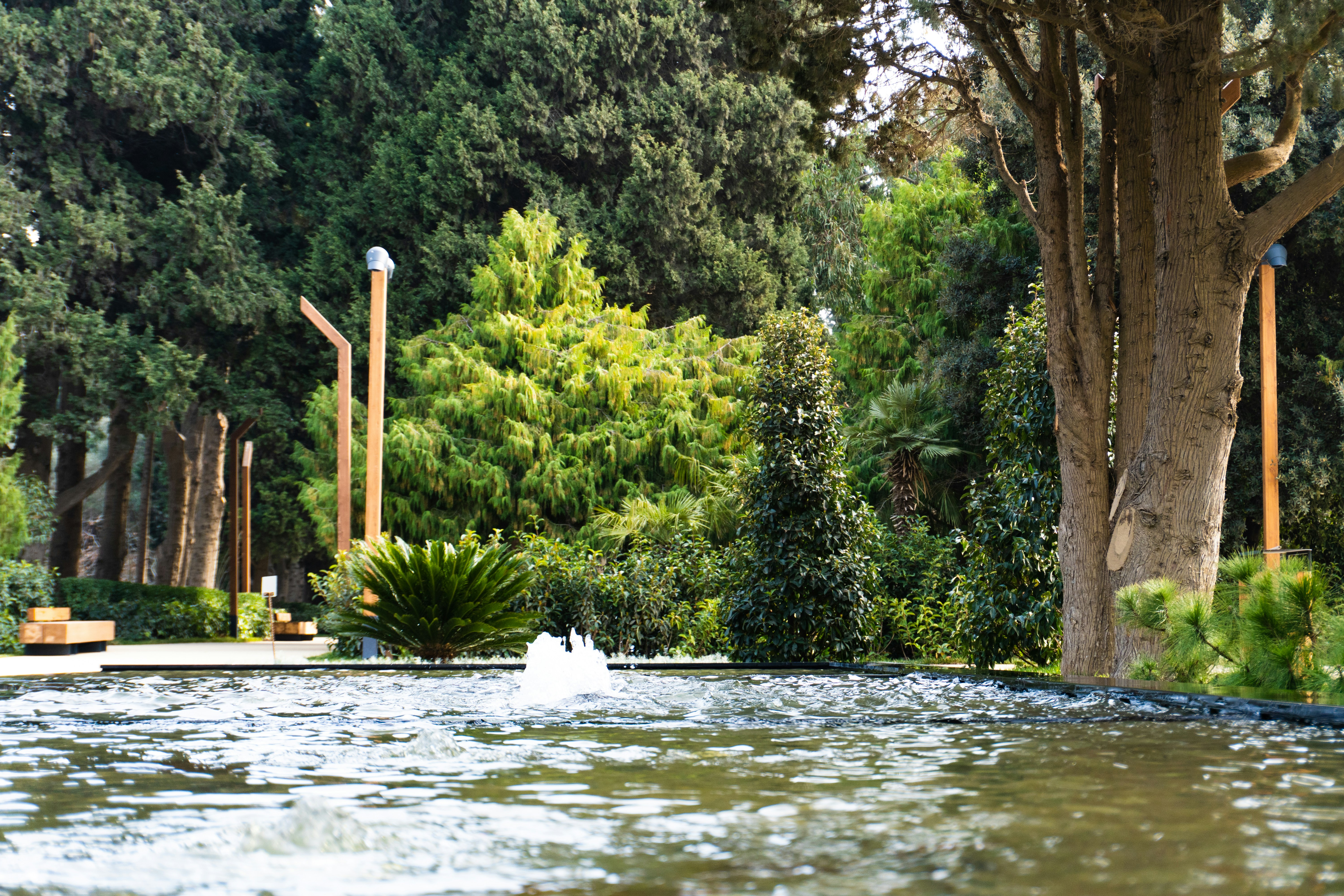 Photo by zulfugarkarimov