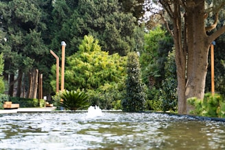 A fountain flows in a lush garden.