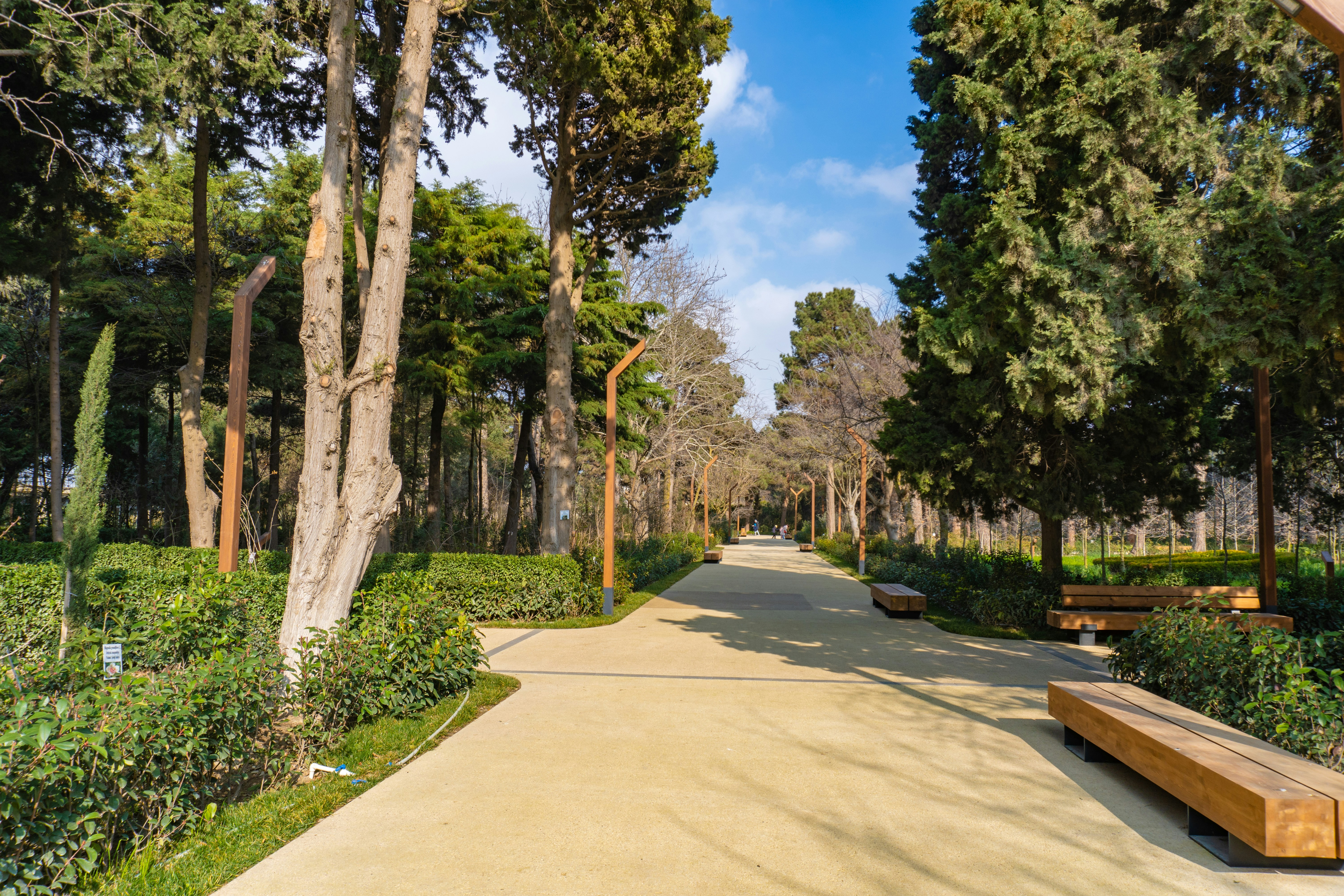 Photo by zulfugarkarimov