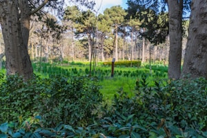 ⌛️역사가 증명하는 필연의 미래