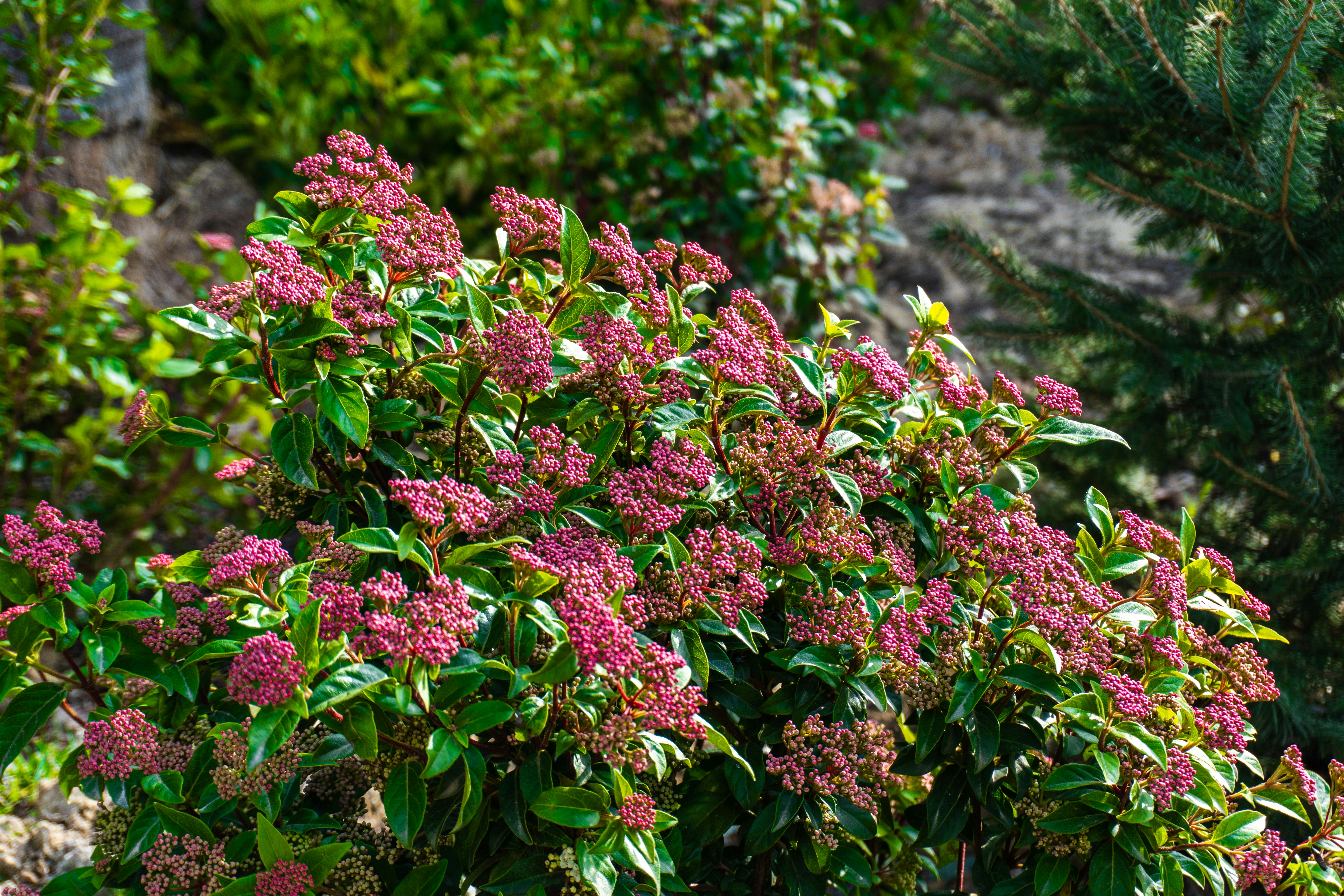 Photo by zulfugarkarimov