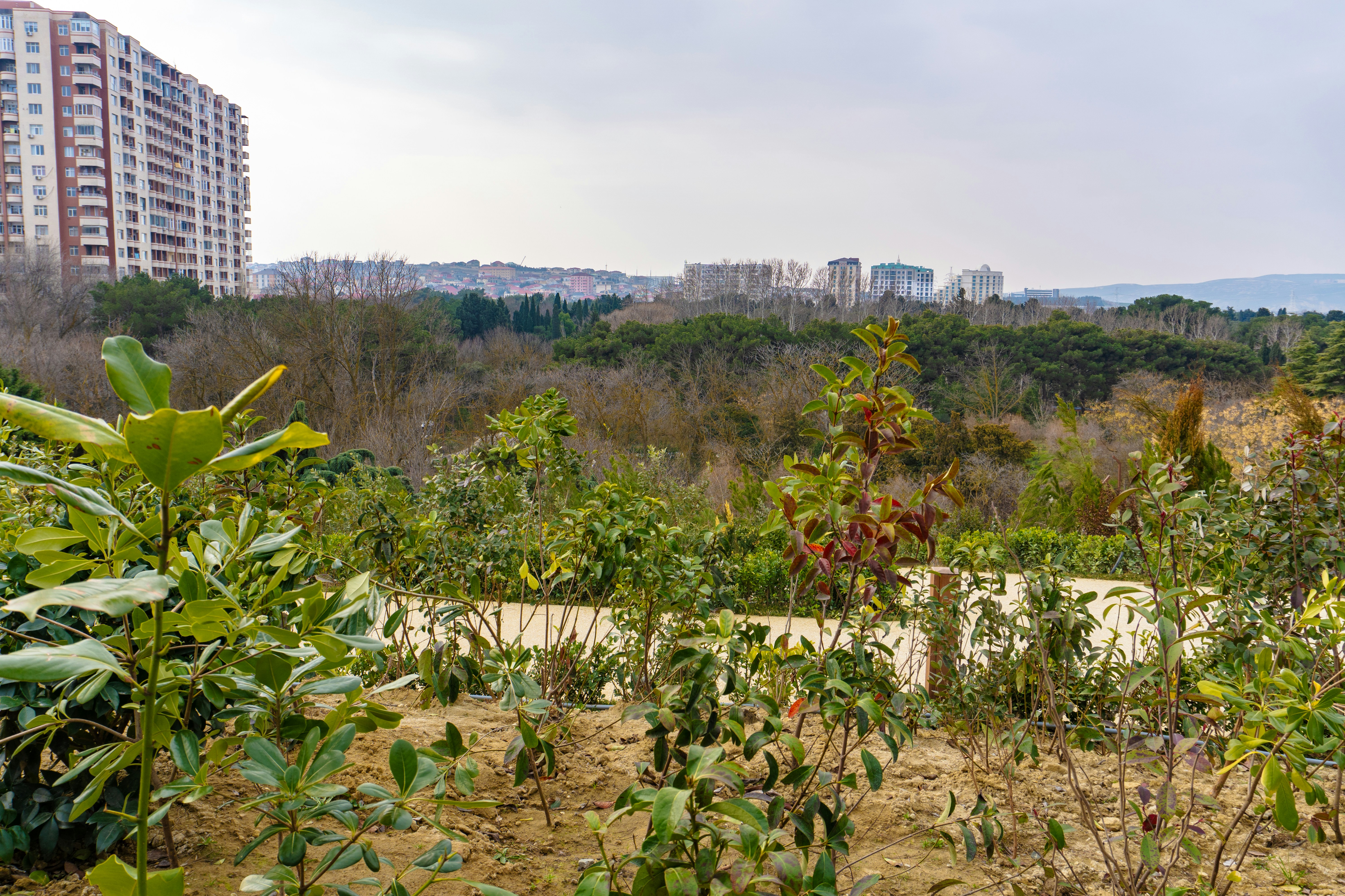 Photo by zulfugarkarimov