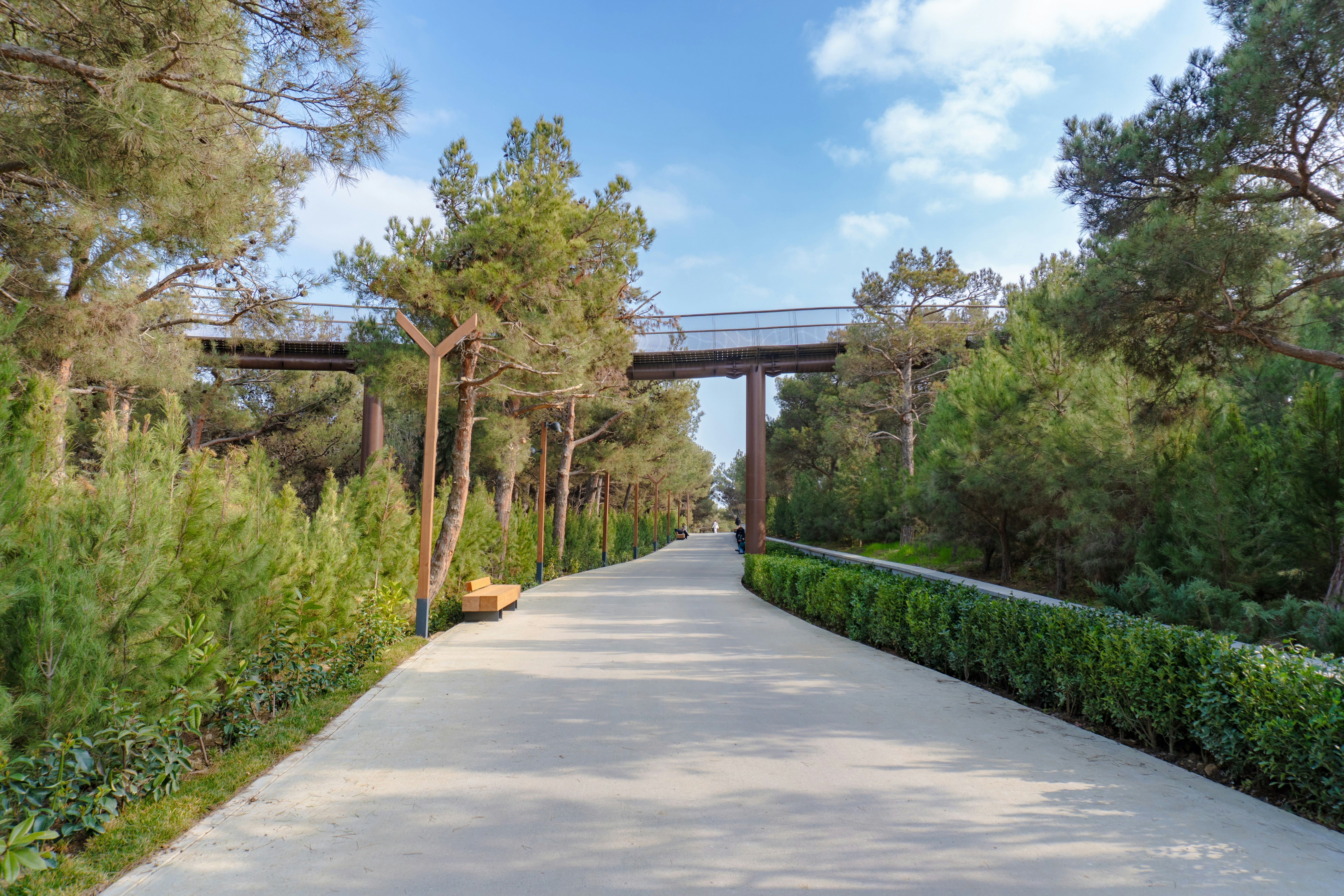 Photo by zulfugarkarimov