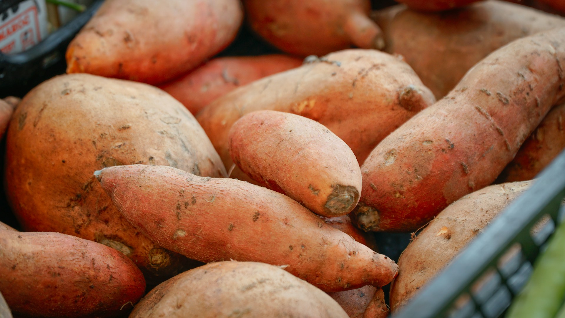 A pile of sweet potatoes in a basket.