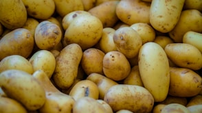 Here's a caption: potatoes galore, ready for cooking.