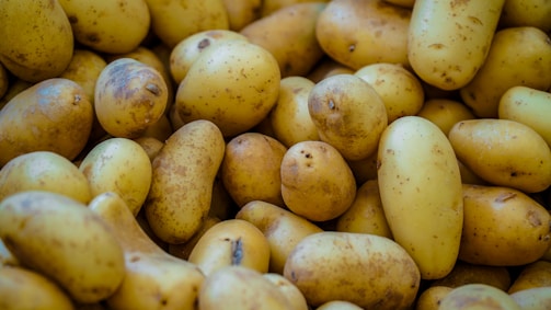 Here's a caption: potatoes galore, ready for cooking.