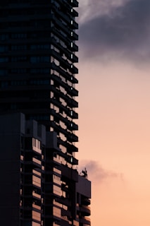 Tall building silhouetted against a sunset sky.