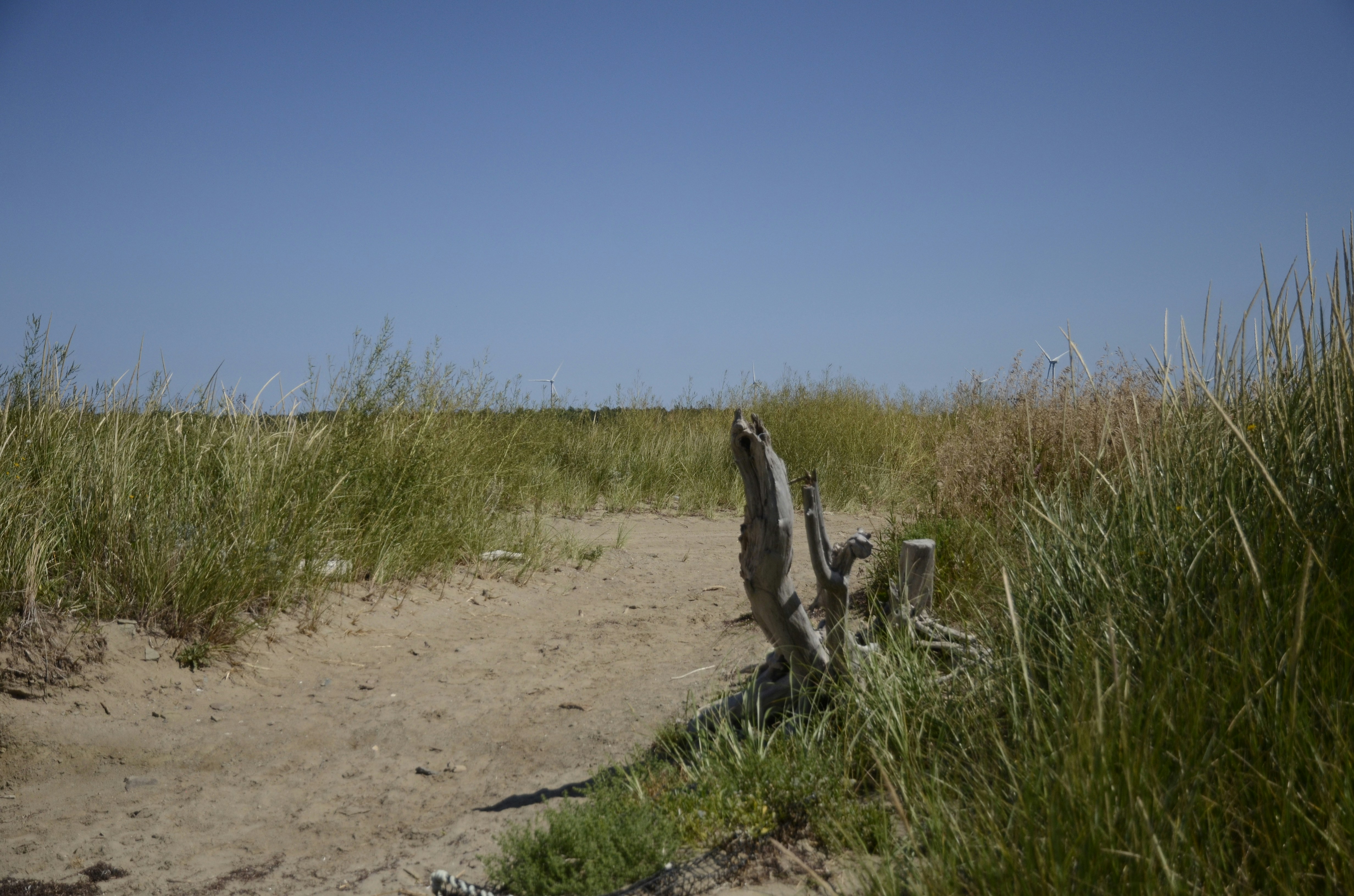 Photo by elysalbgraphiste