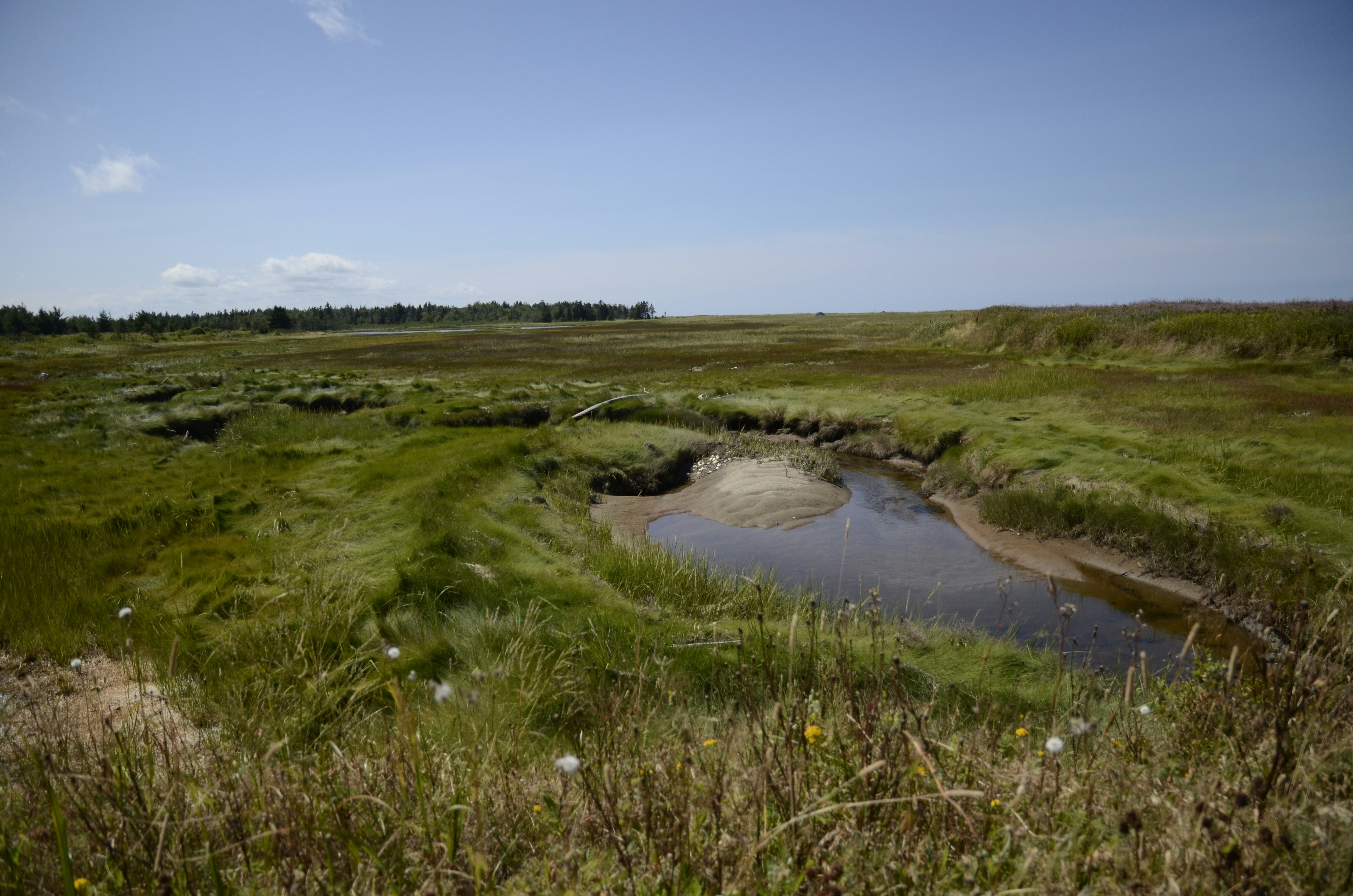 Photo by elysalbgraphiste