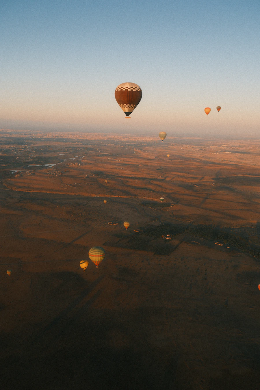 Des paysages dorés