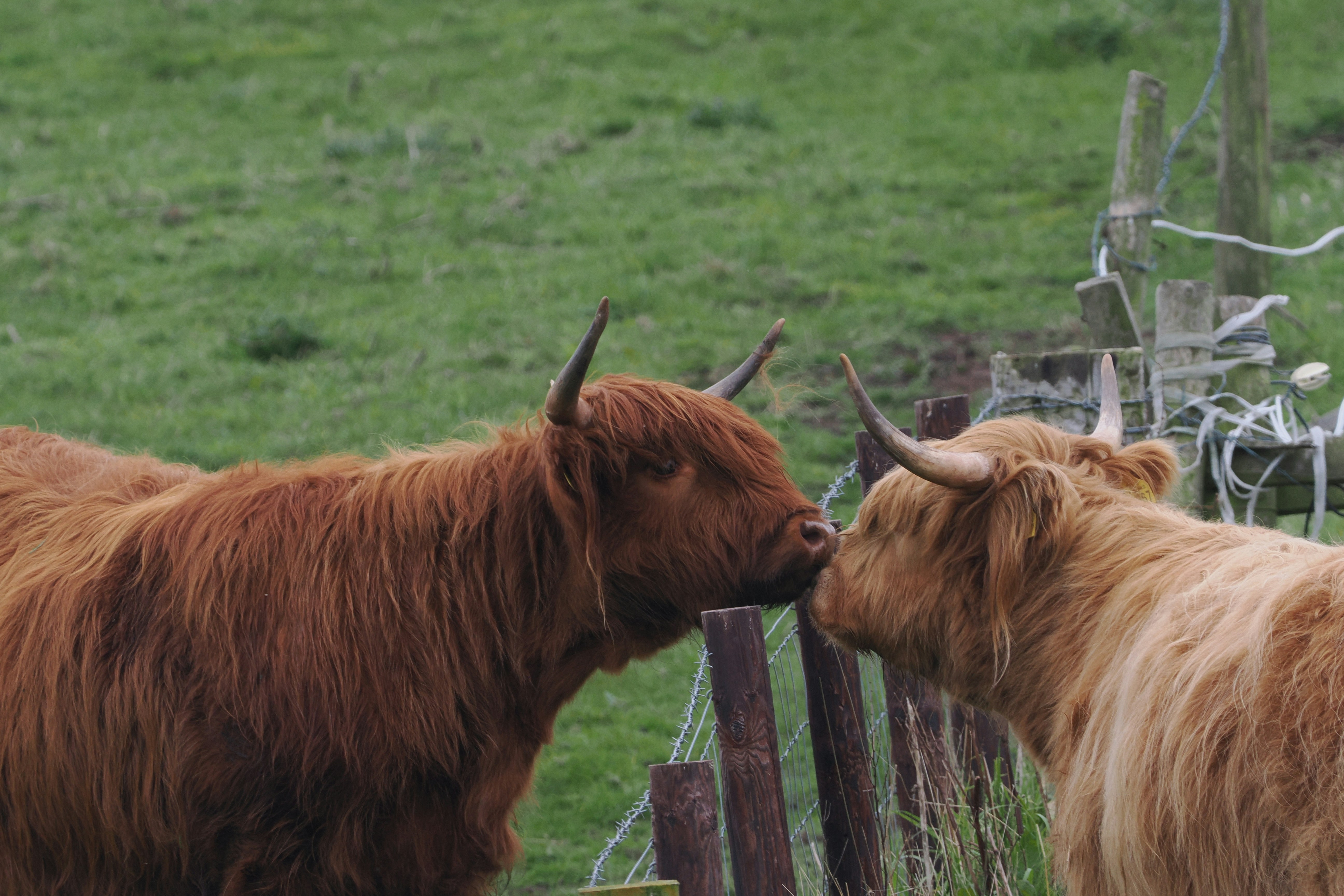 Communication Systems More Sophisticated Than We Realized (image credits: unsplash)