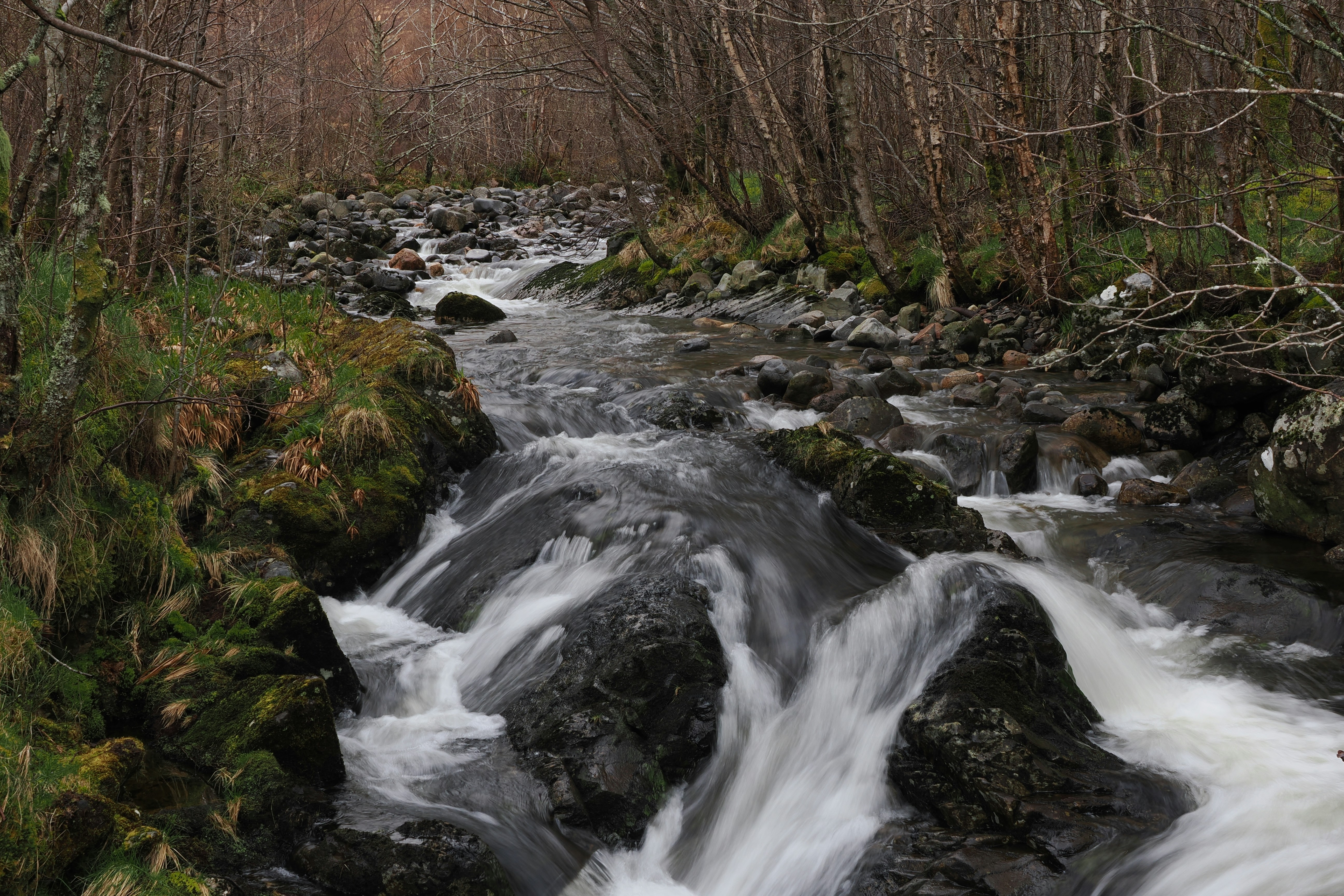 Photo by fotografie_thomas_nolte