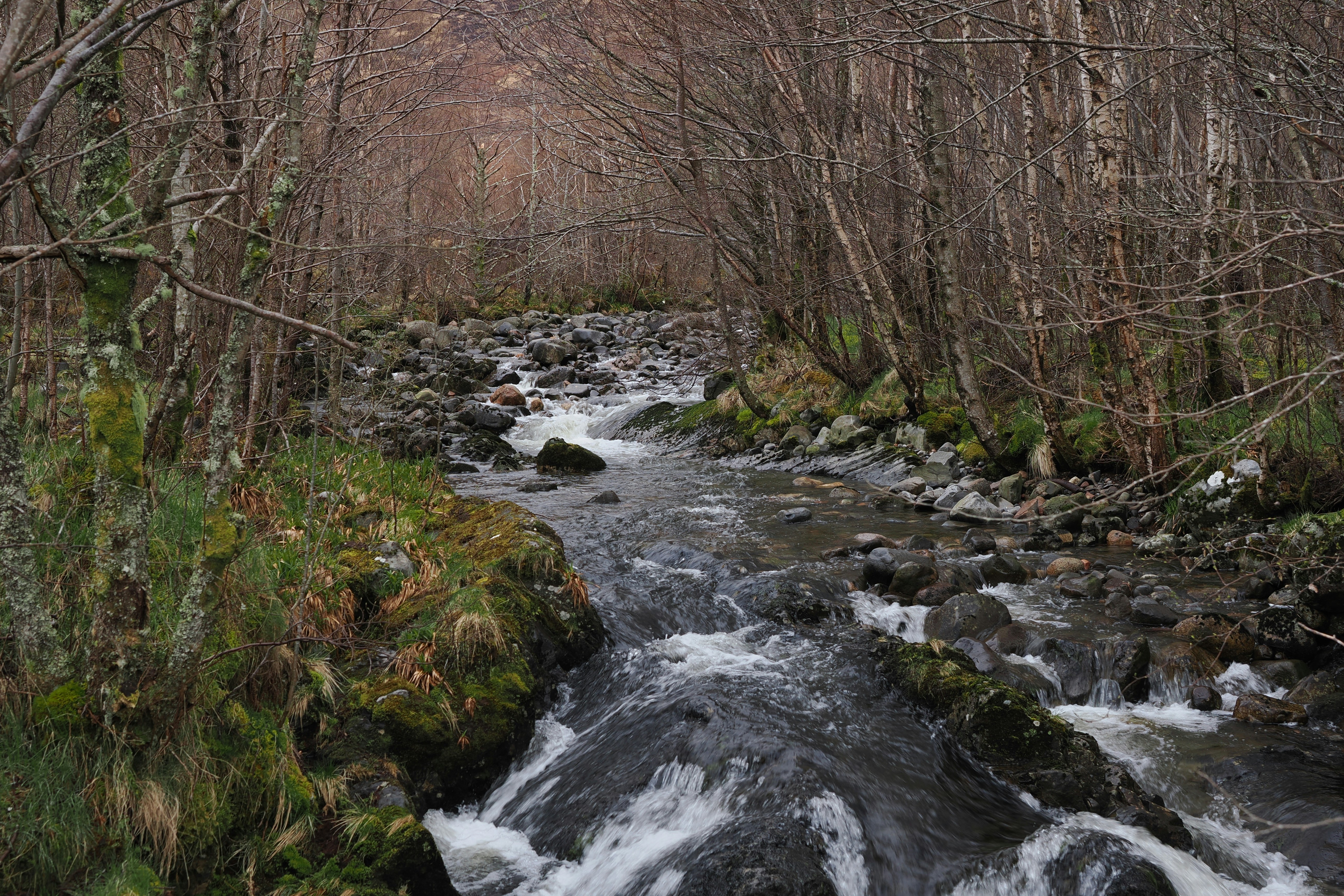 Photo by fotografie_thomas_nolte