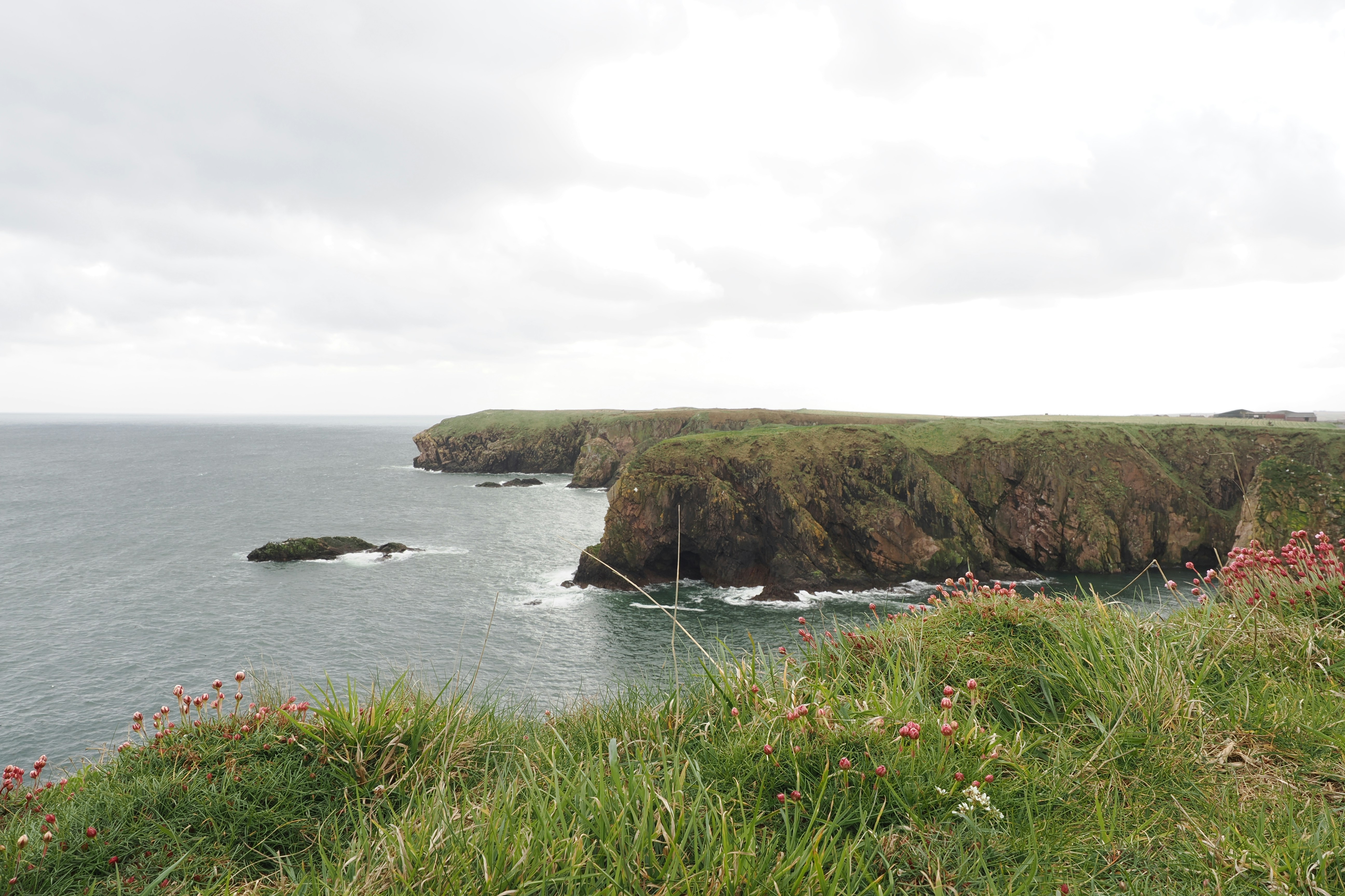 Photo by fotografie_thomas_nolte