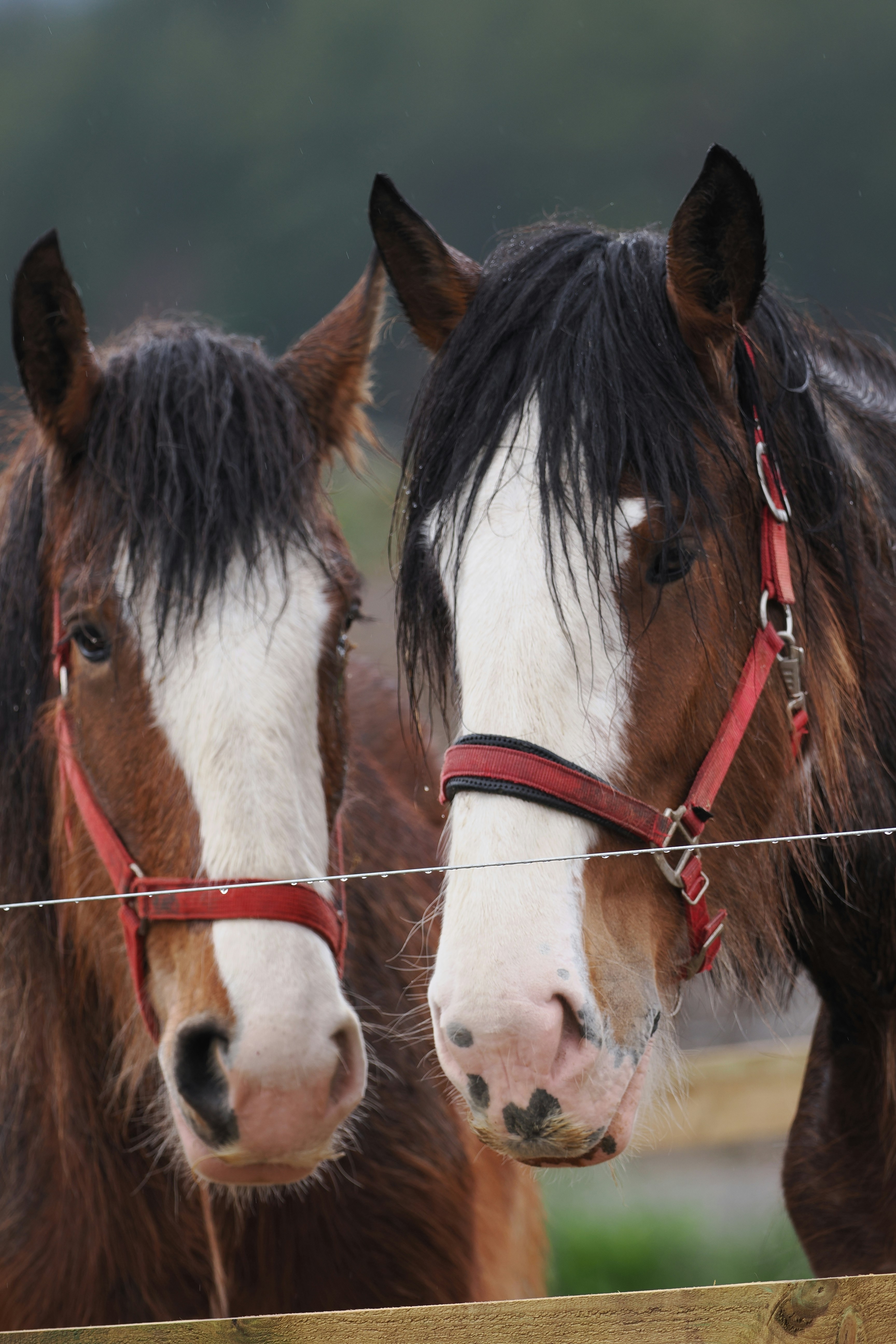 Photo by fotografie_thomas_nolte