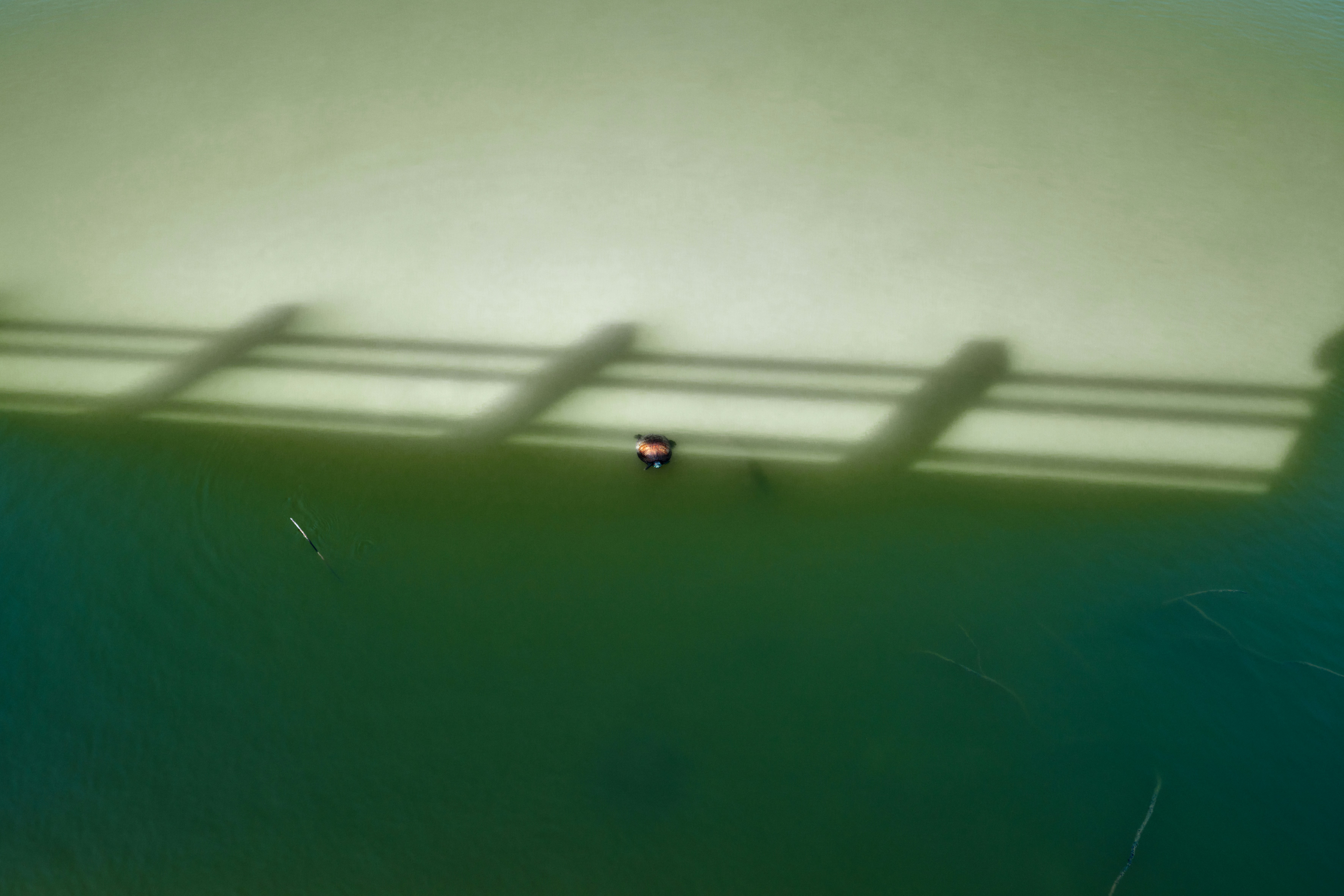 Shadows cast across a green and yellow surface.
