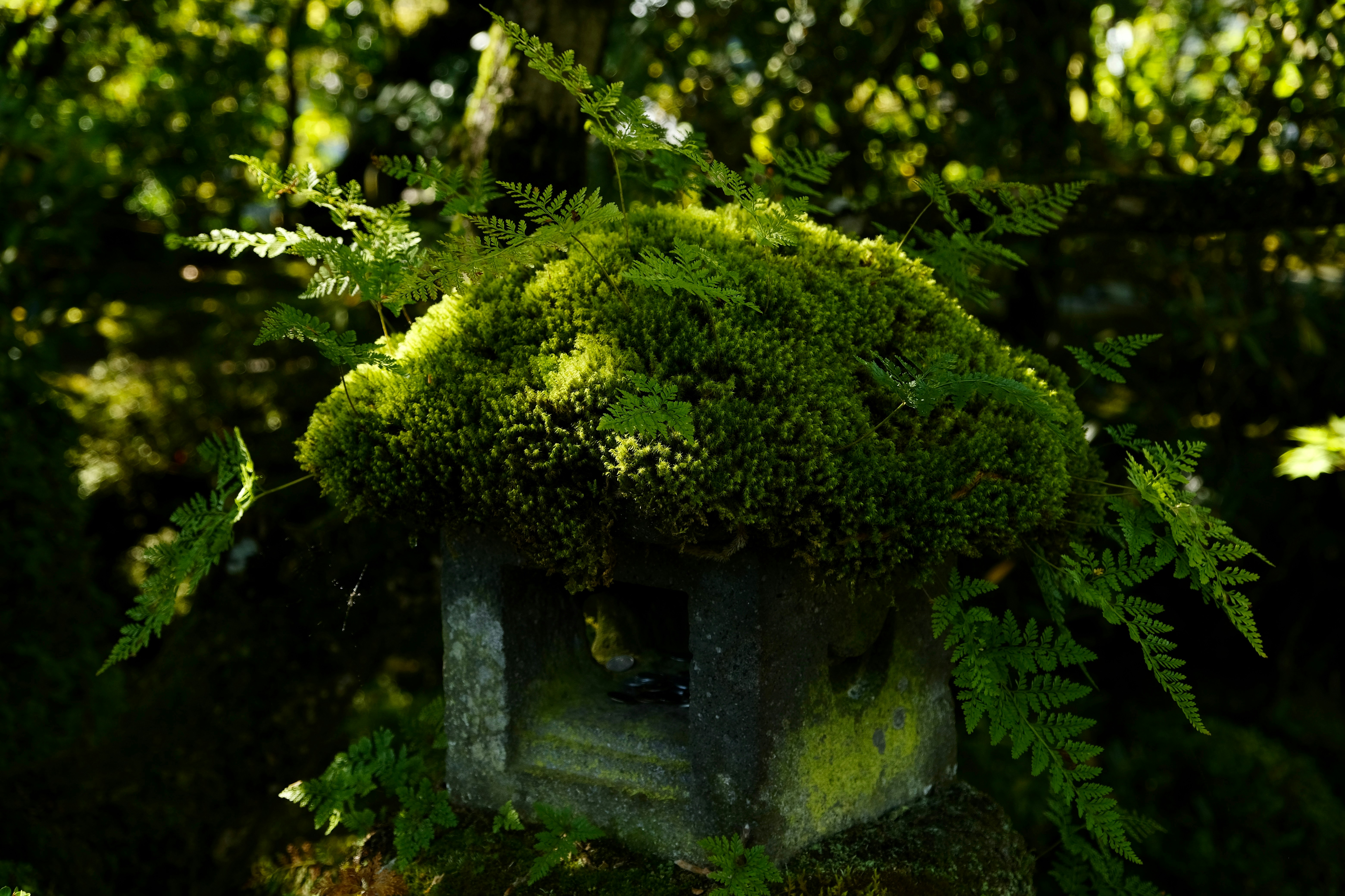 A mossy garden ornament among green foliage.