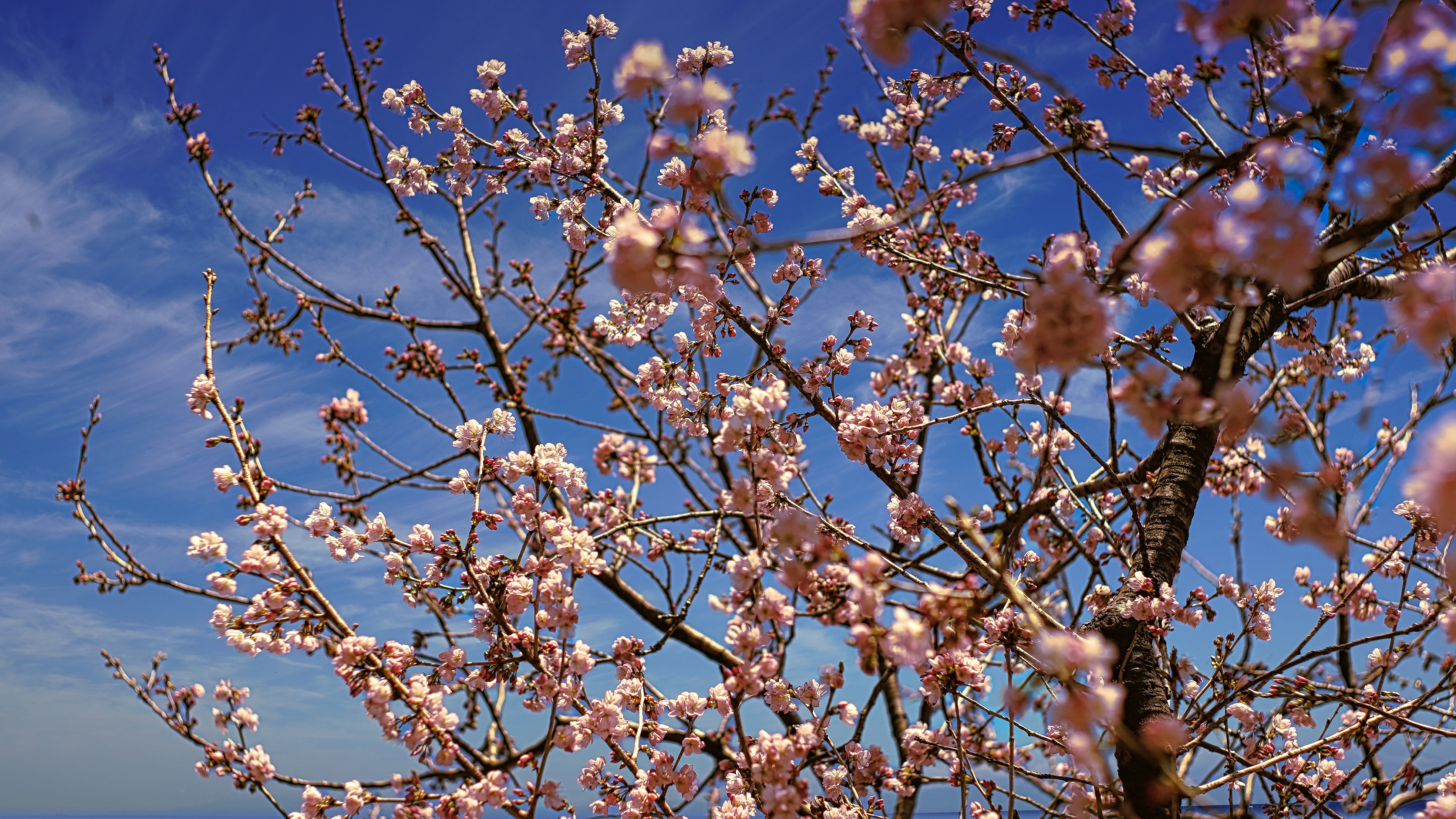 Photo by obtain_cafe