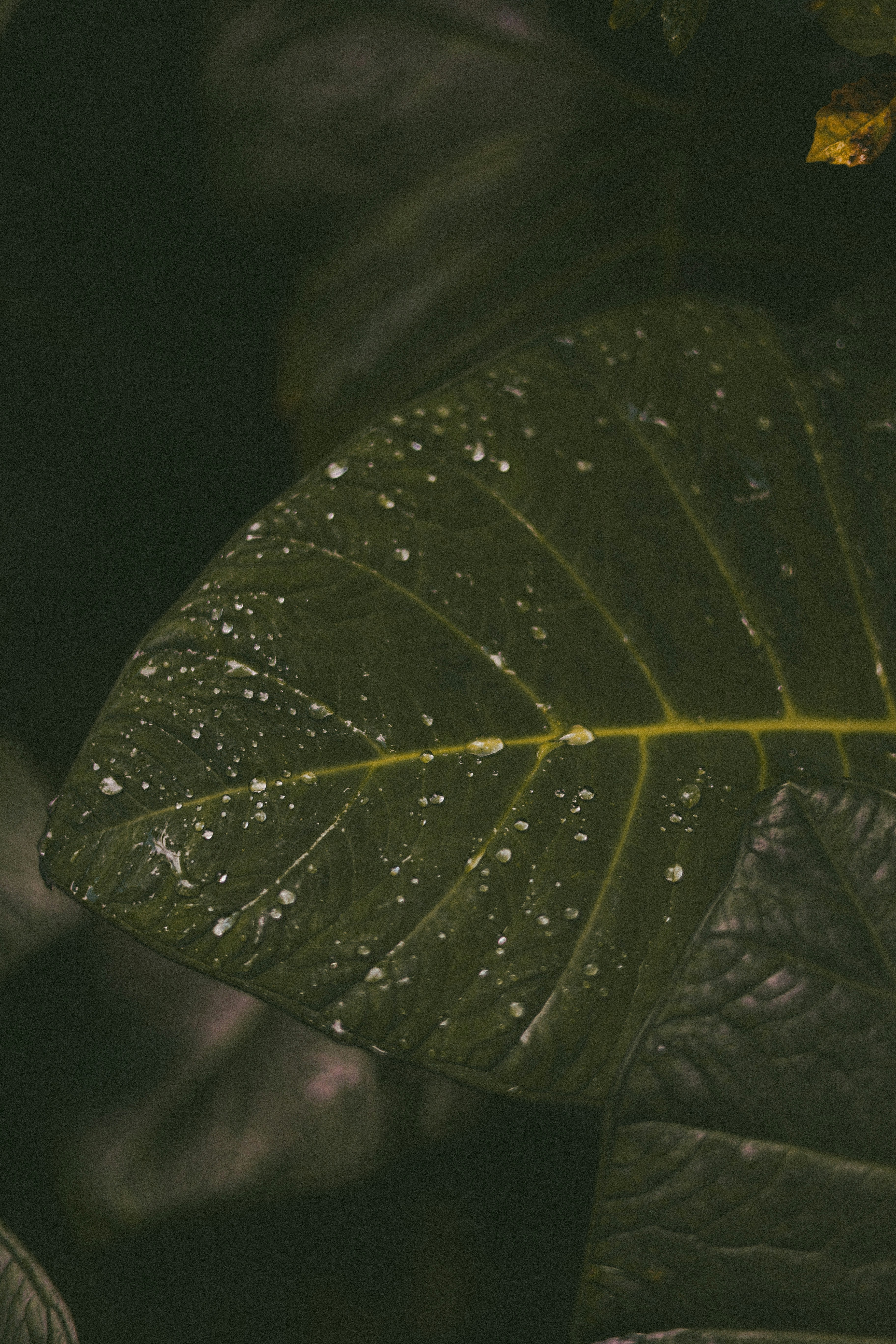 Photo by brookebalentine