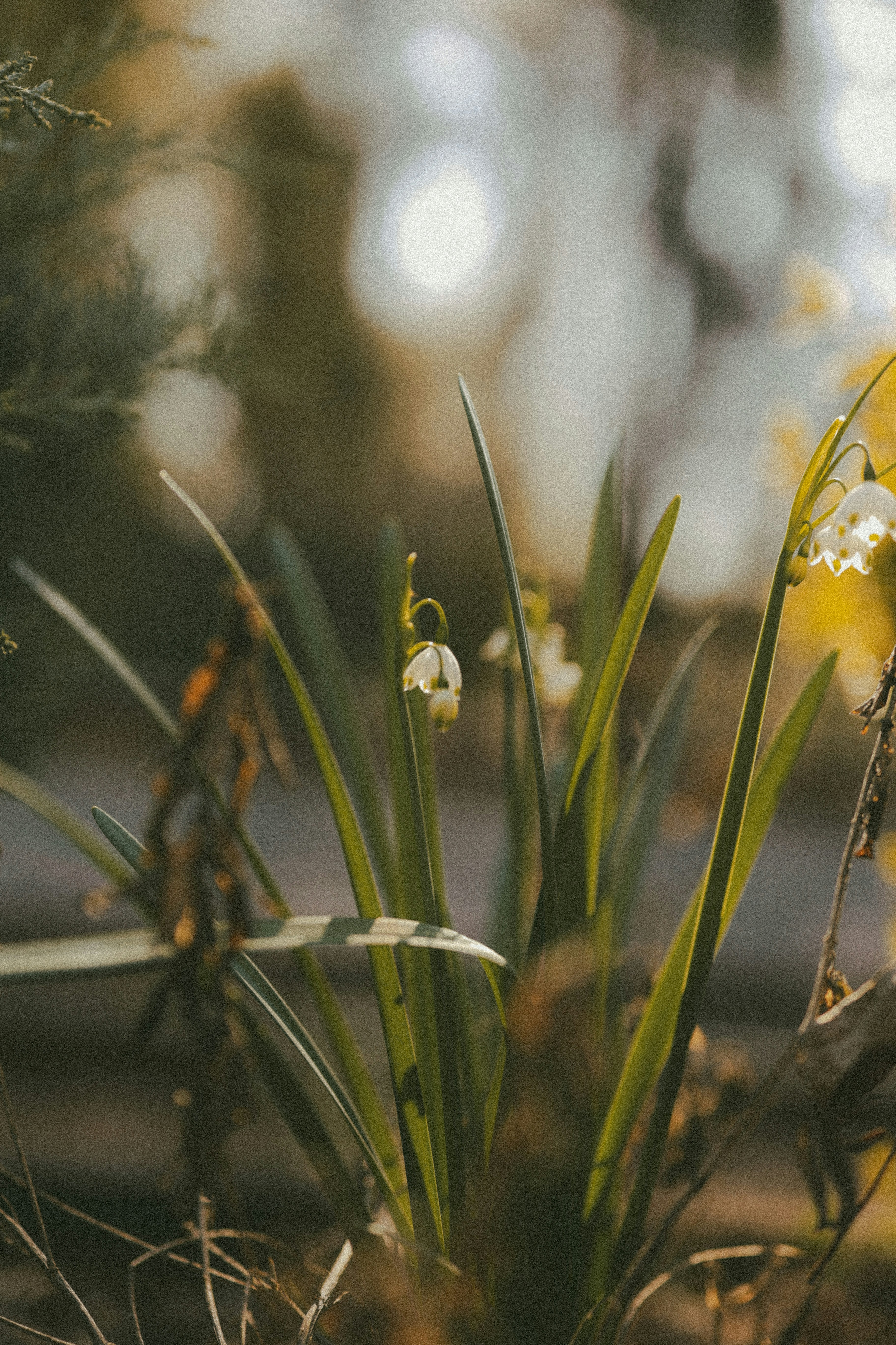 Photo by brookebalentine