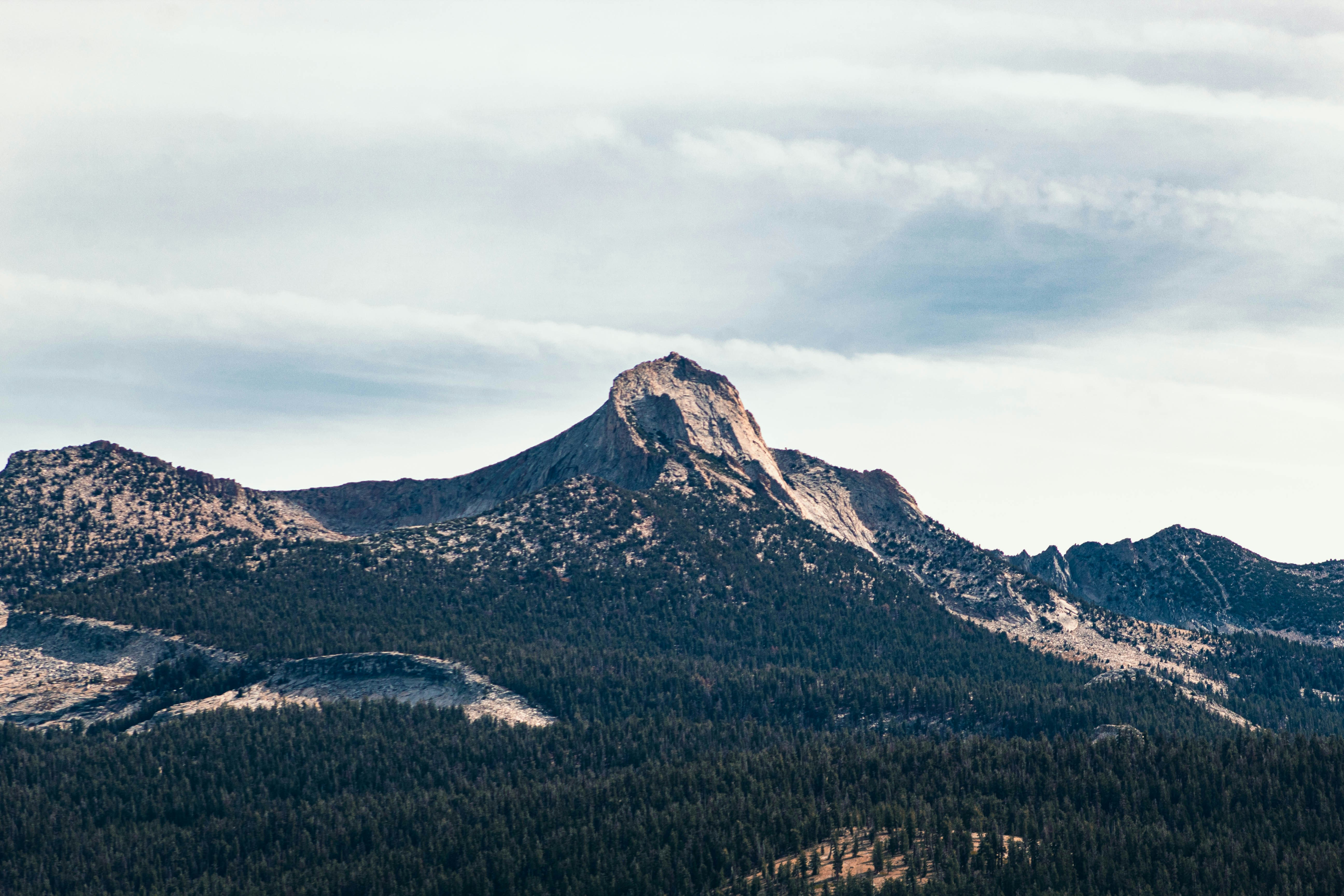 Photo by juniperoverbeke