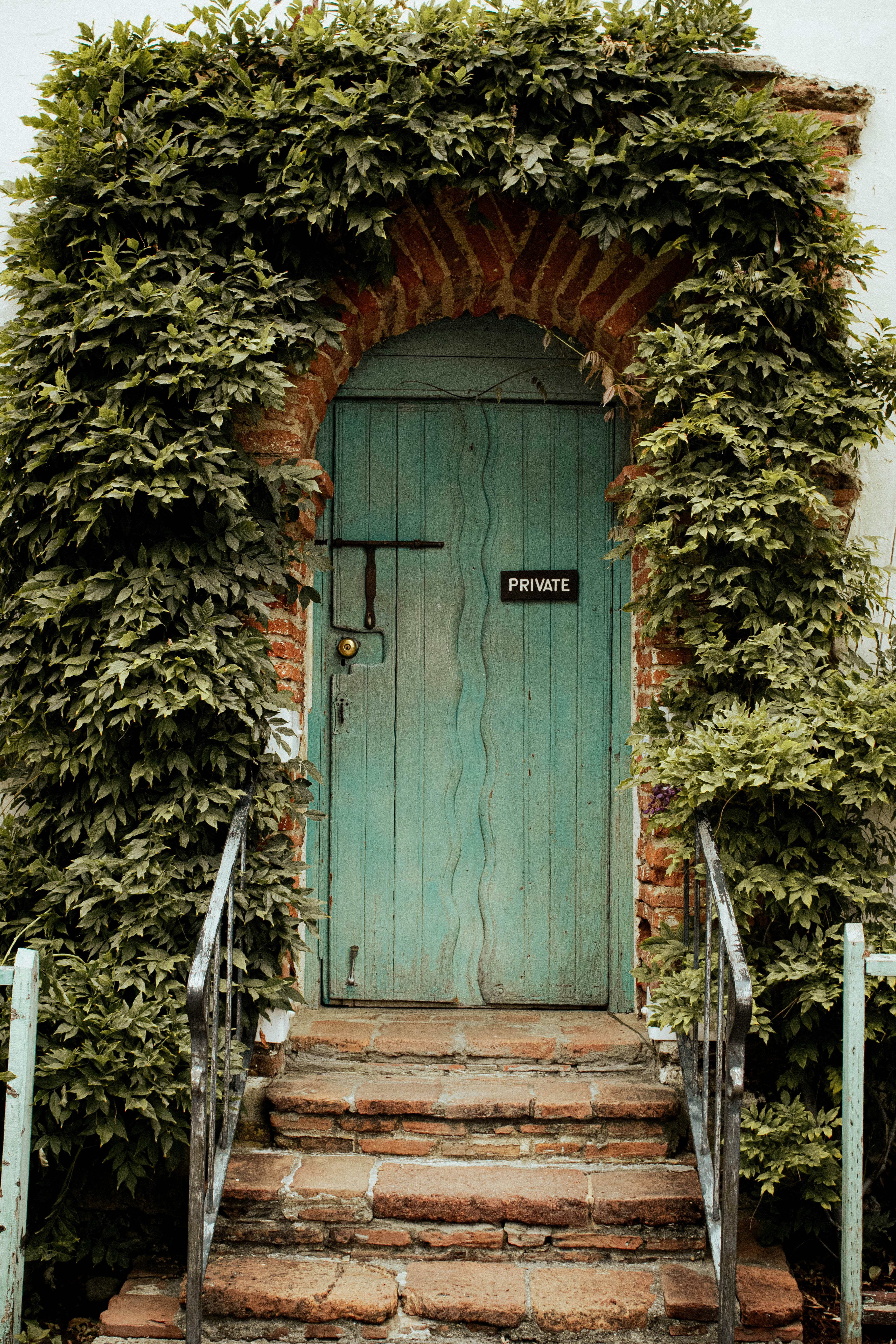 Photo by juniperoverbeke