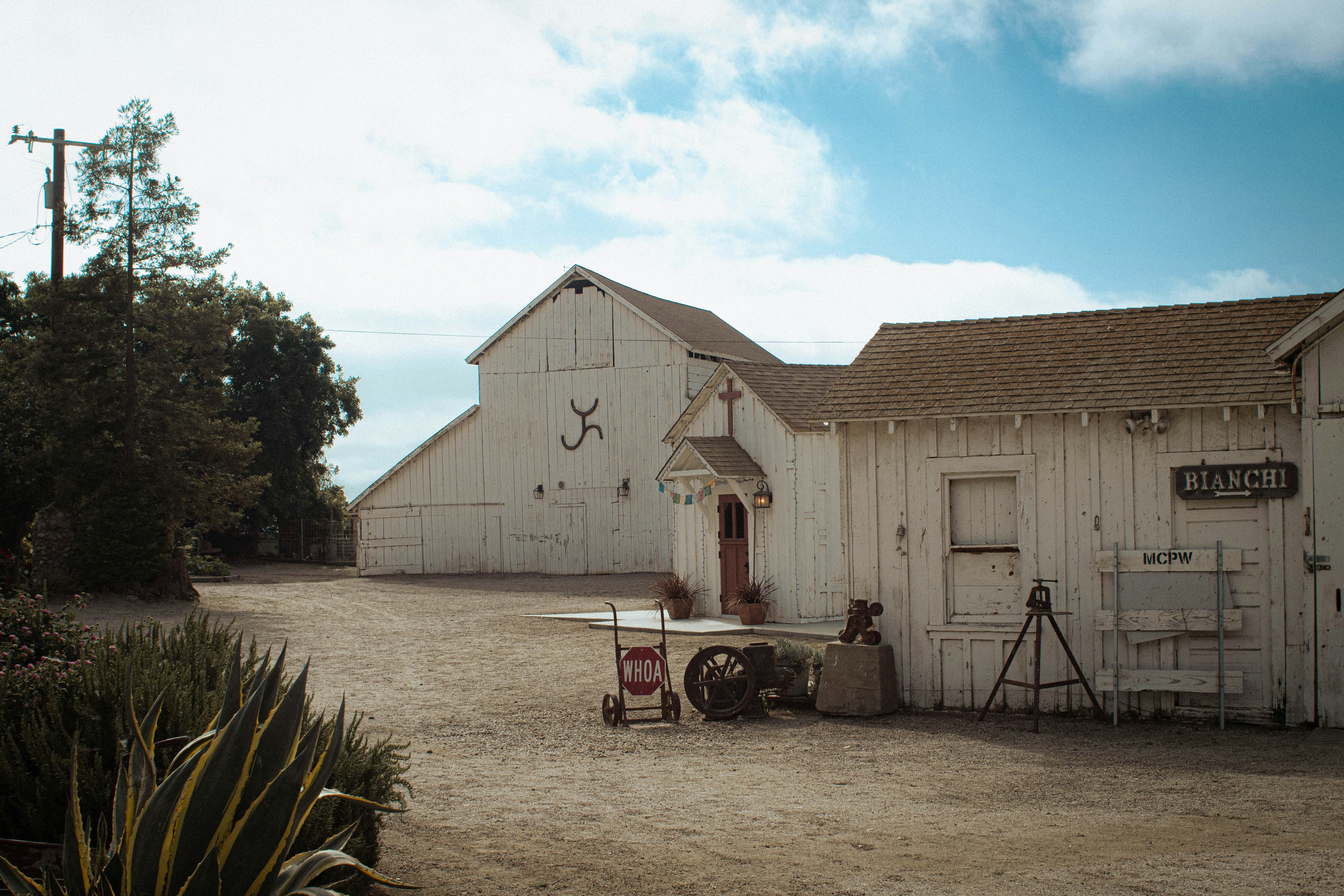 Photo by juniperoverbeke