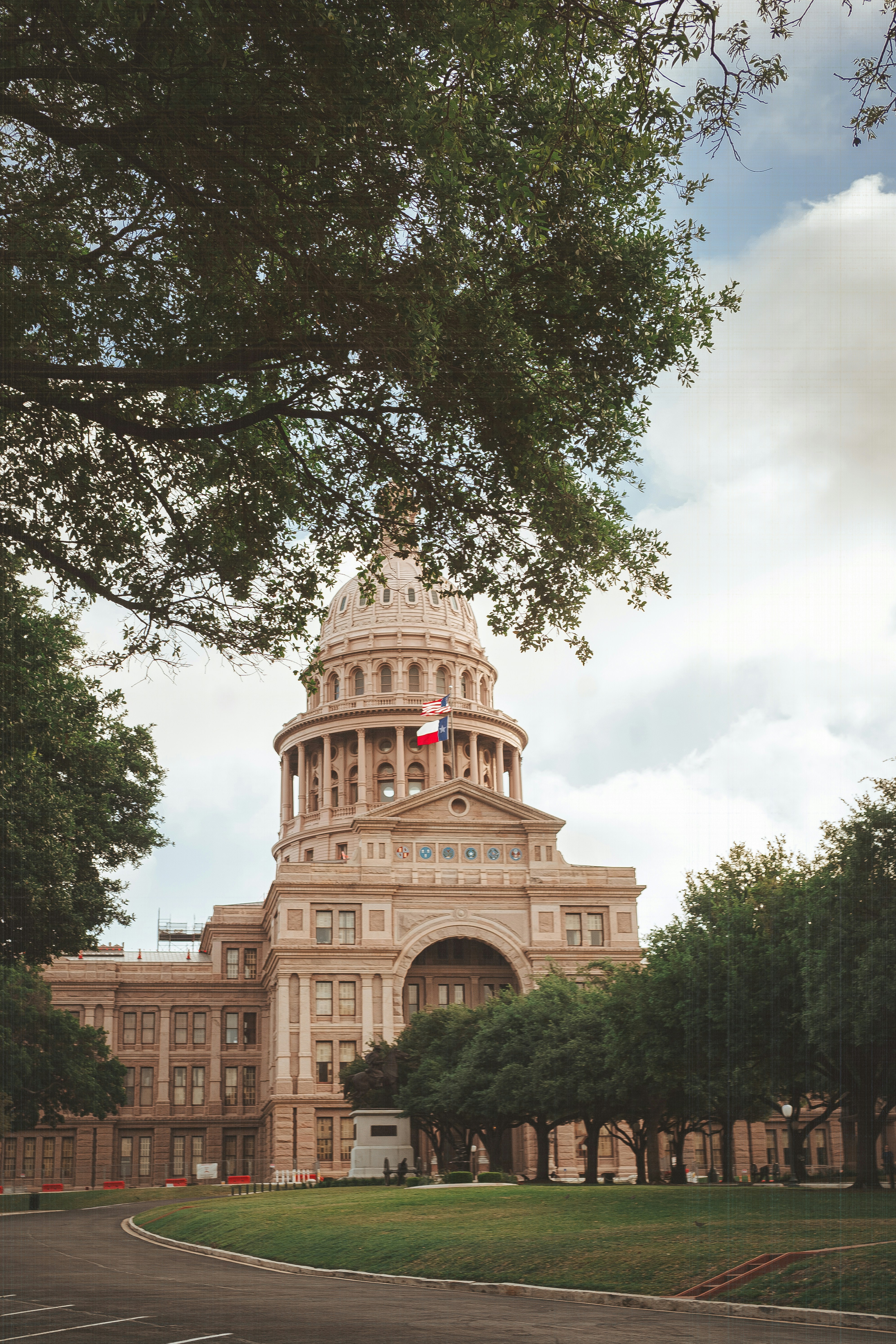 The texas state capitol building sits under a tree.