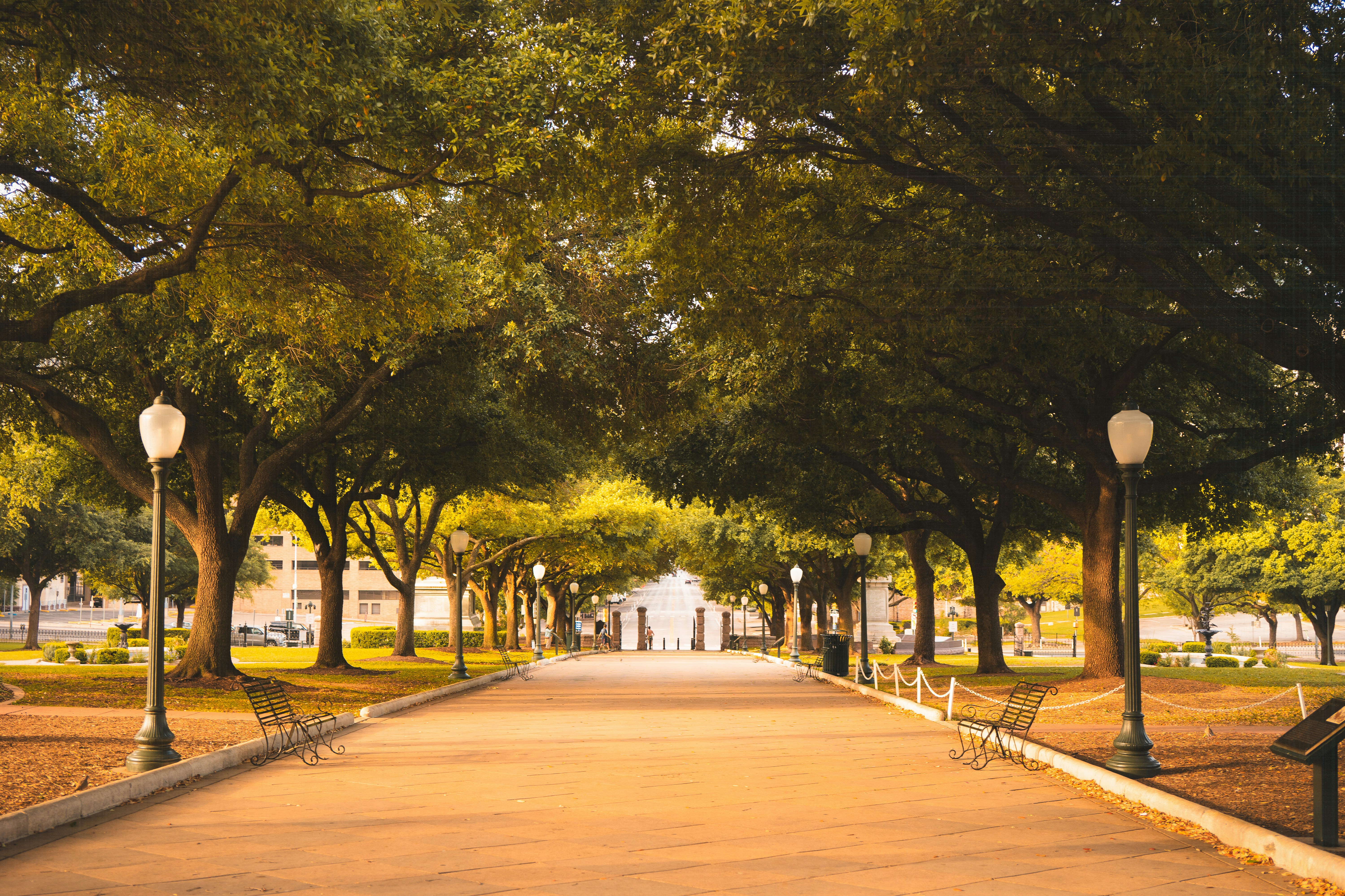 A tree-lined path leads into the distance.