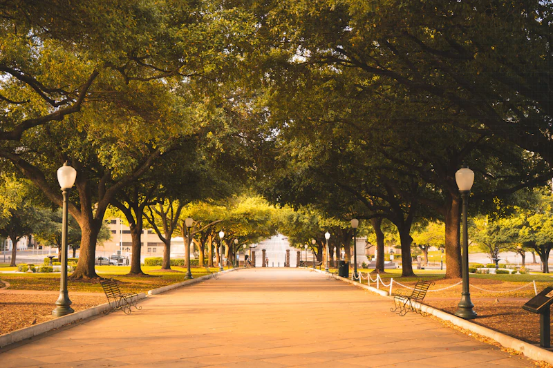 Best Walking Paths and Streets in Austin to Explore on Foot