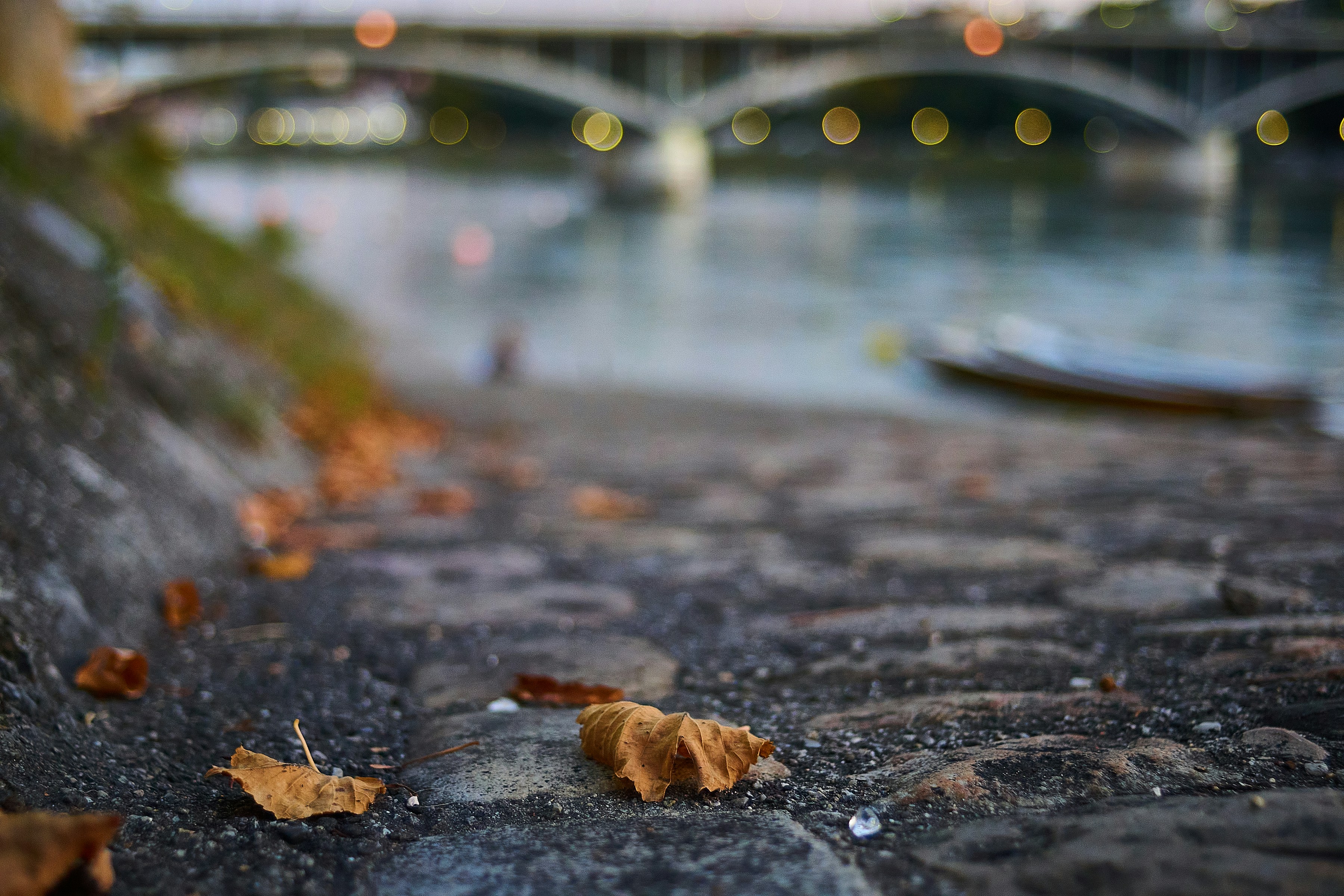Autumn leaves scattered on a stone riverbank.