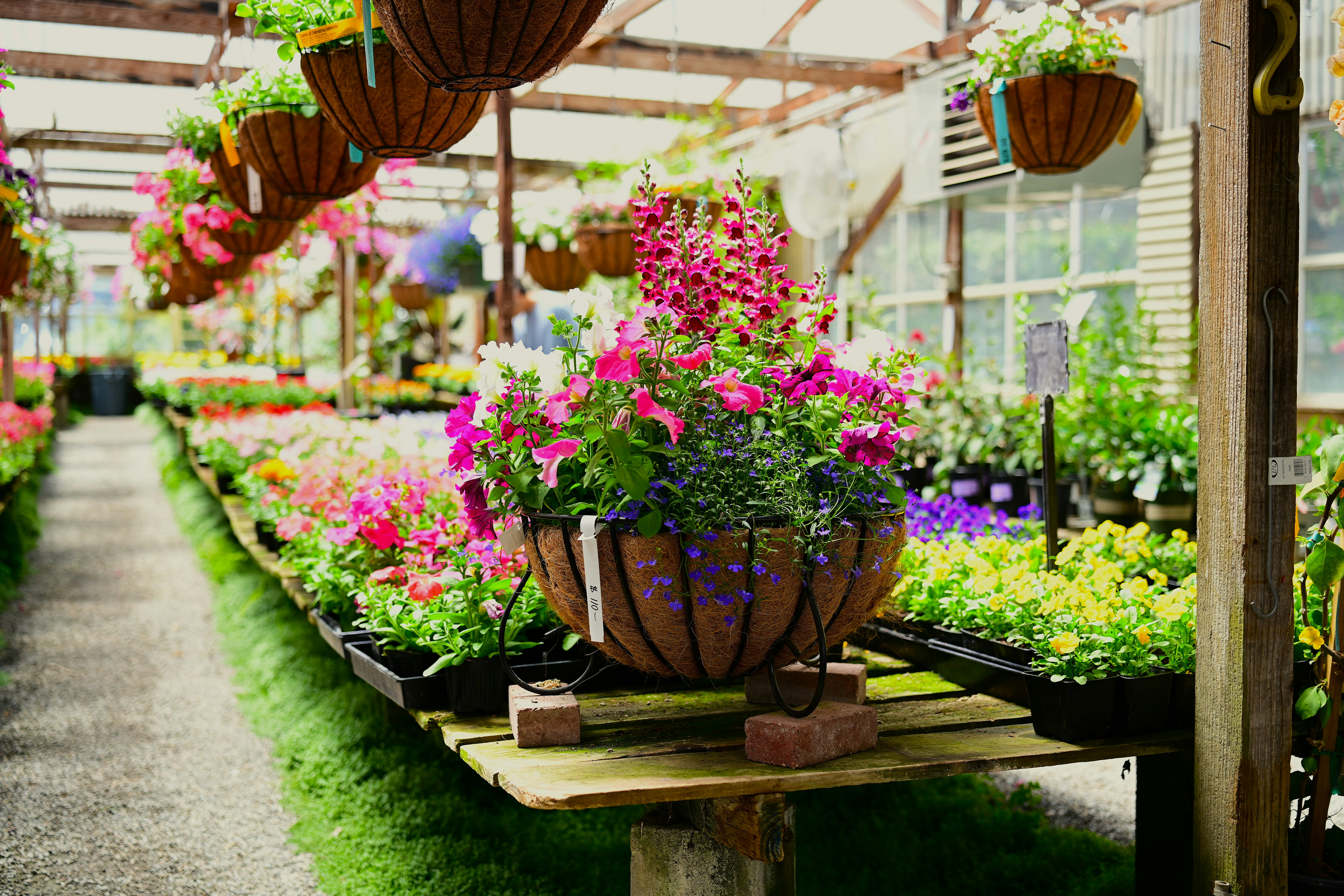 Photo by samuelprevin