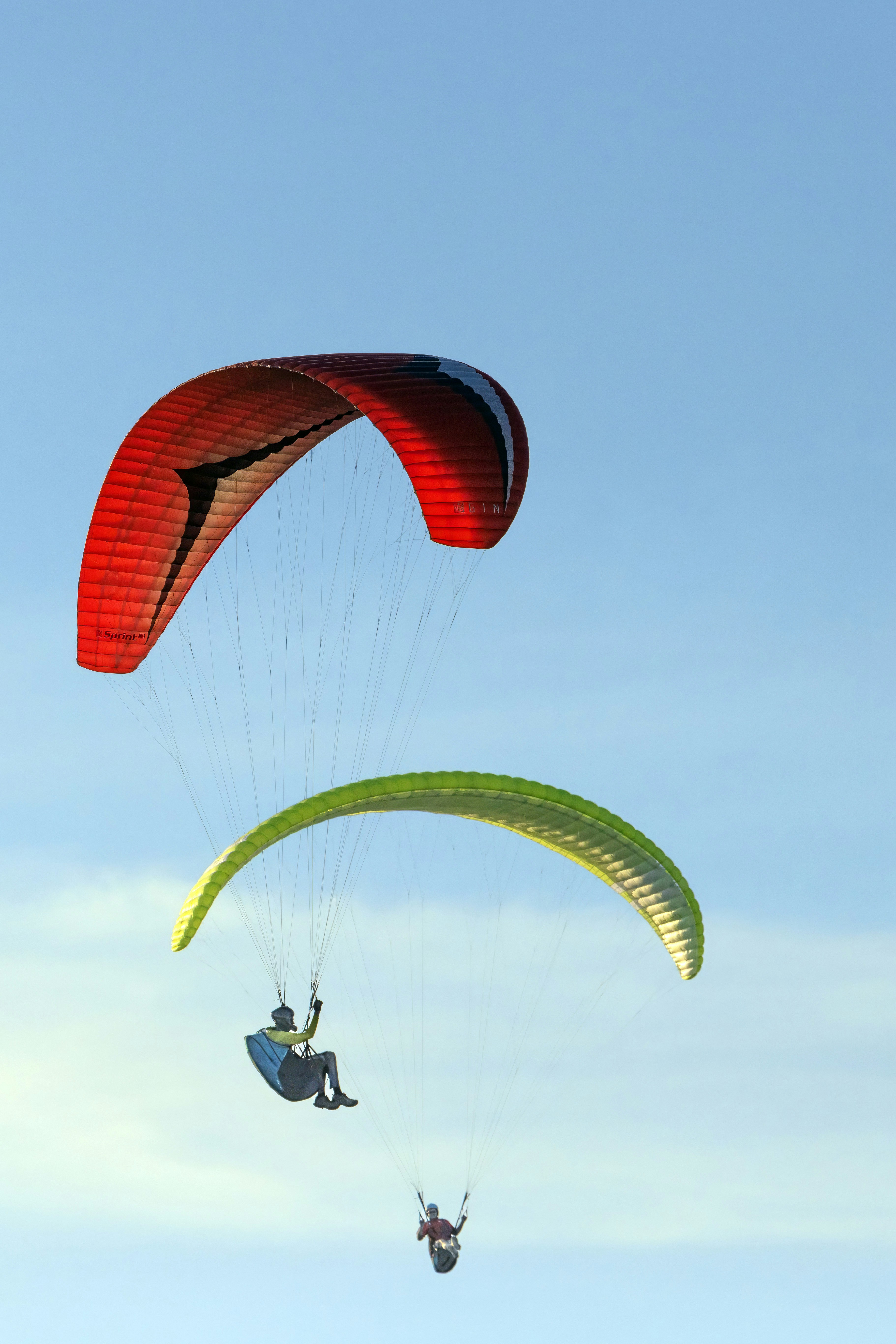 Paragliders soar through the clear, blue sky.